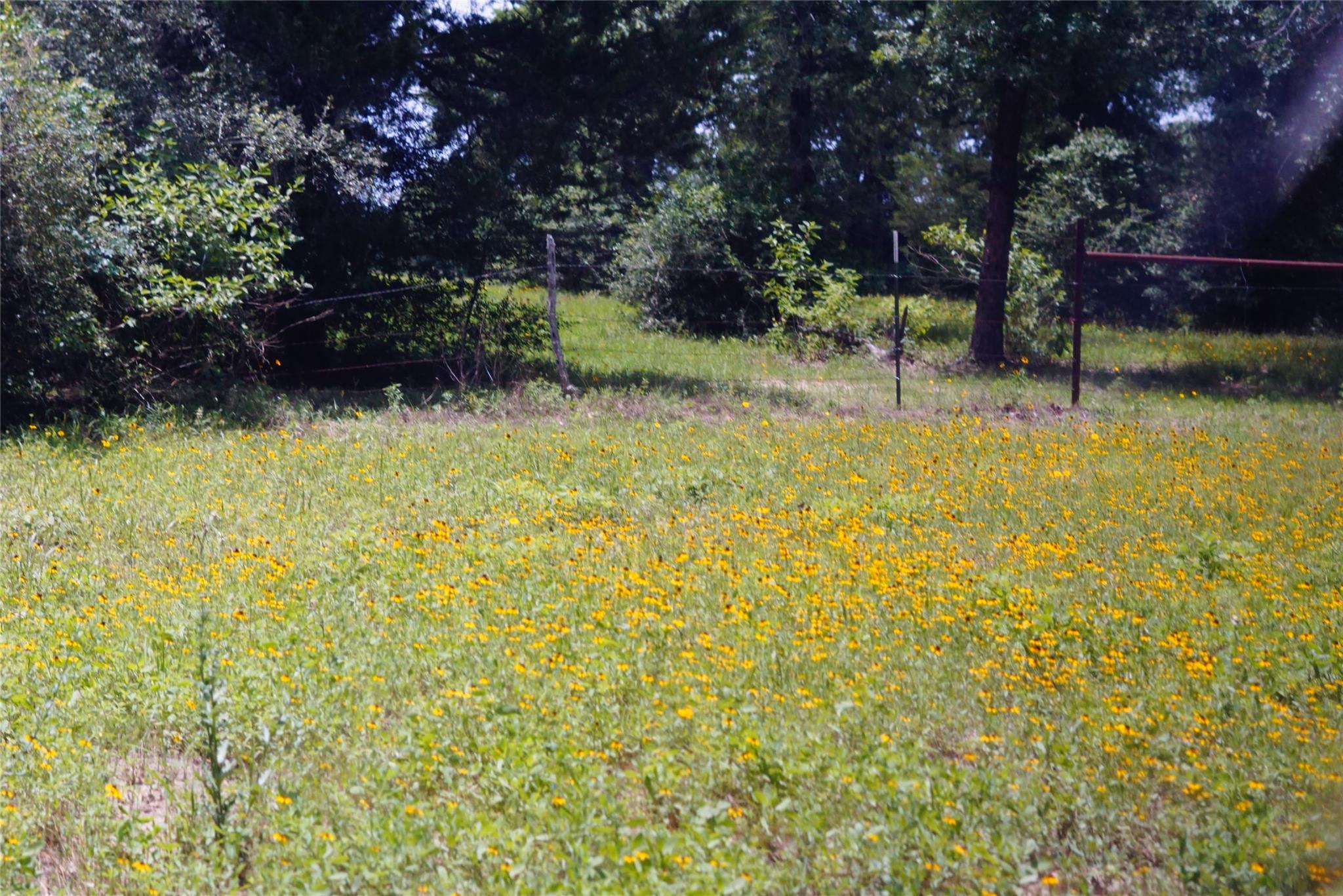 TBD County Road 322, Rockdale, TX 76567