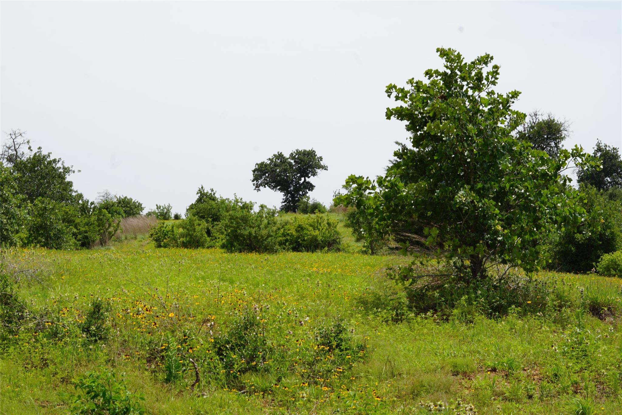 TBD County Road 322, Rockdale, TX 76567