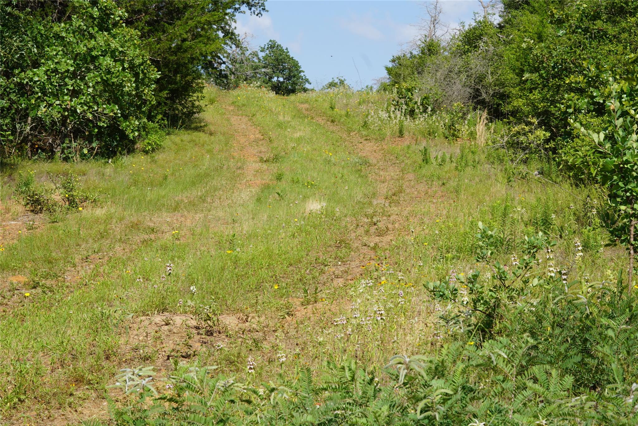 TBD County Road 322, Rockdale, TX 76567