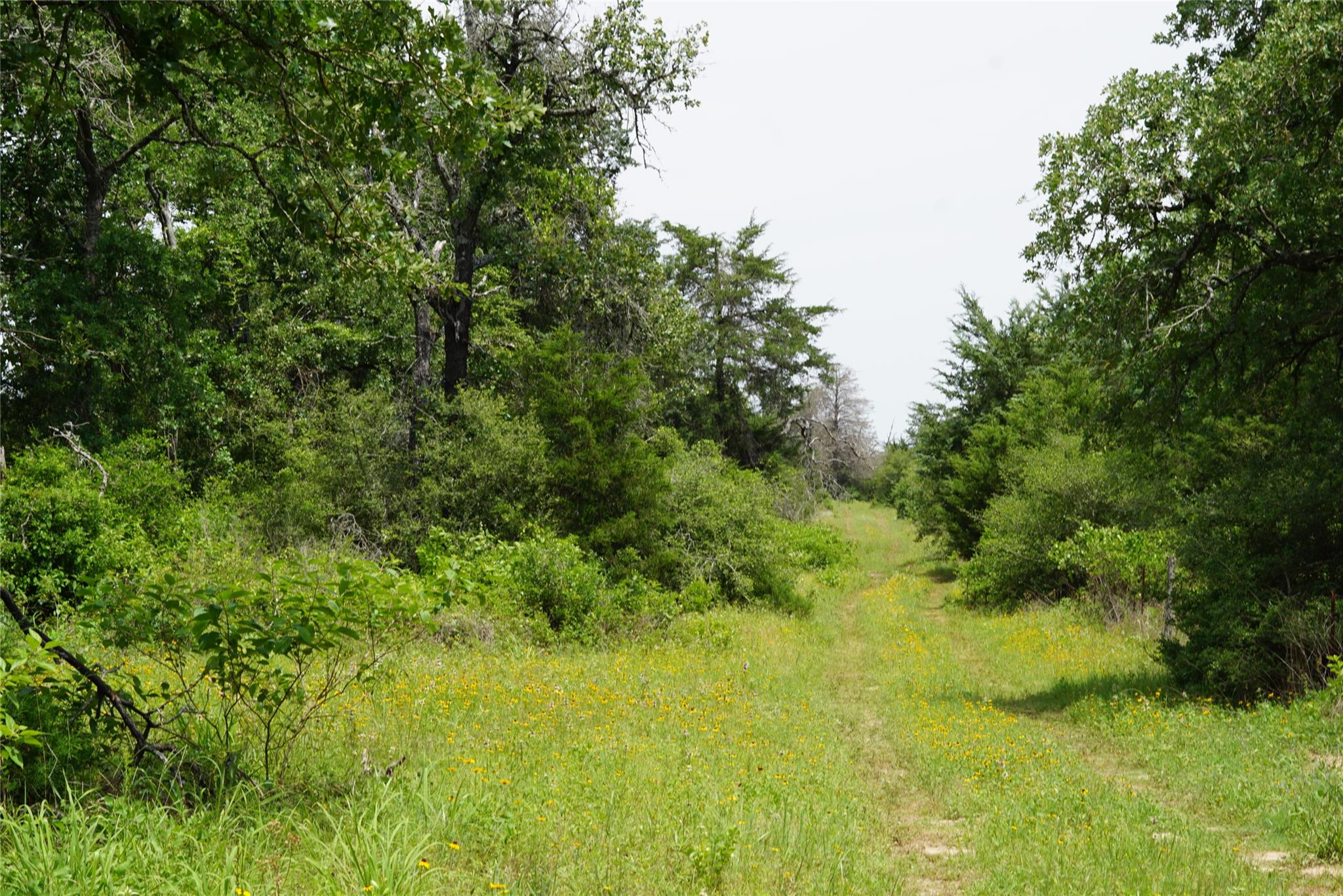 TBD County Road 322, Rockdale, TX 76567