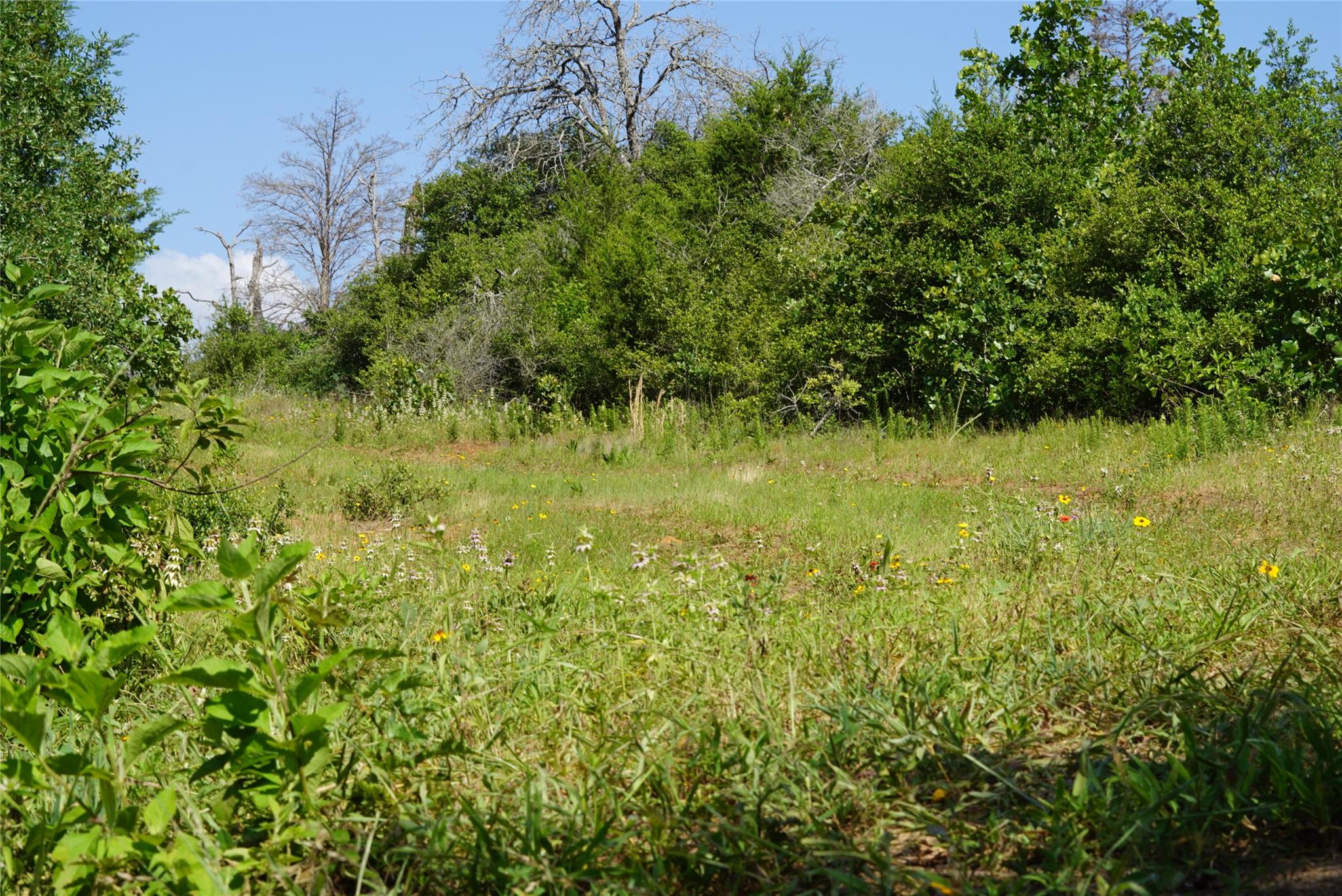 TBD County Road 322, Rockdale, TX 76567