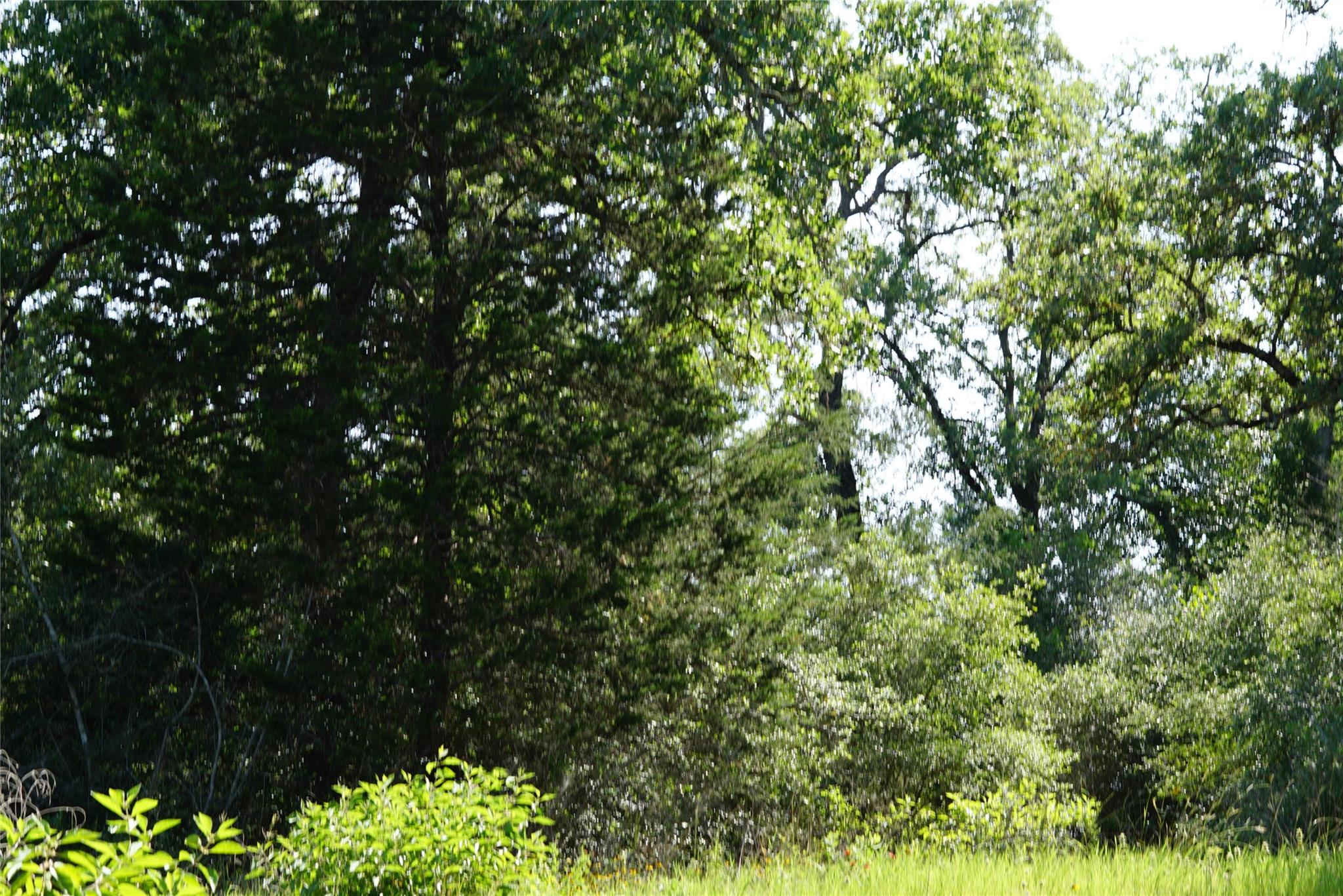 TBD County Road 322, Rockdale, TX 76567