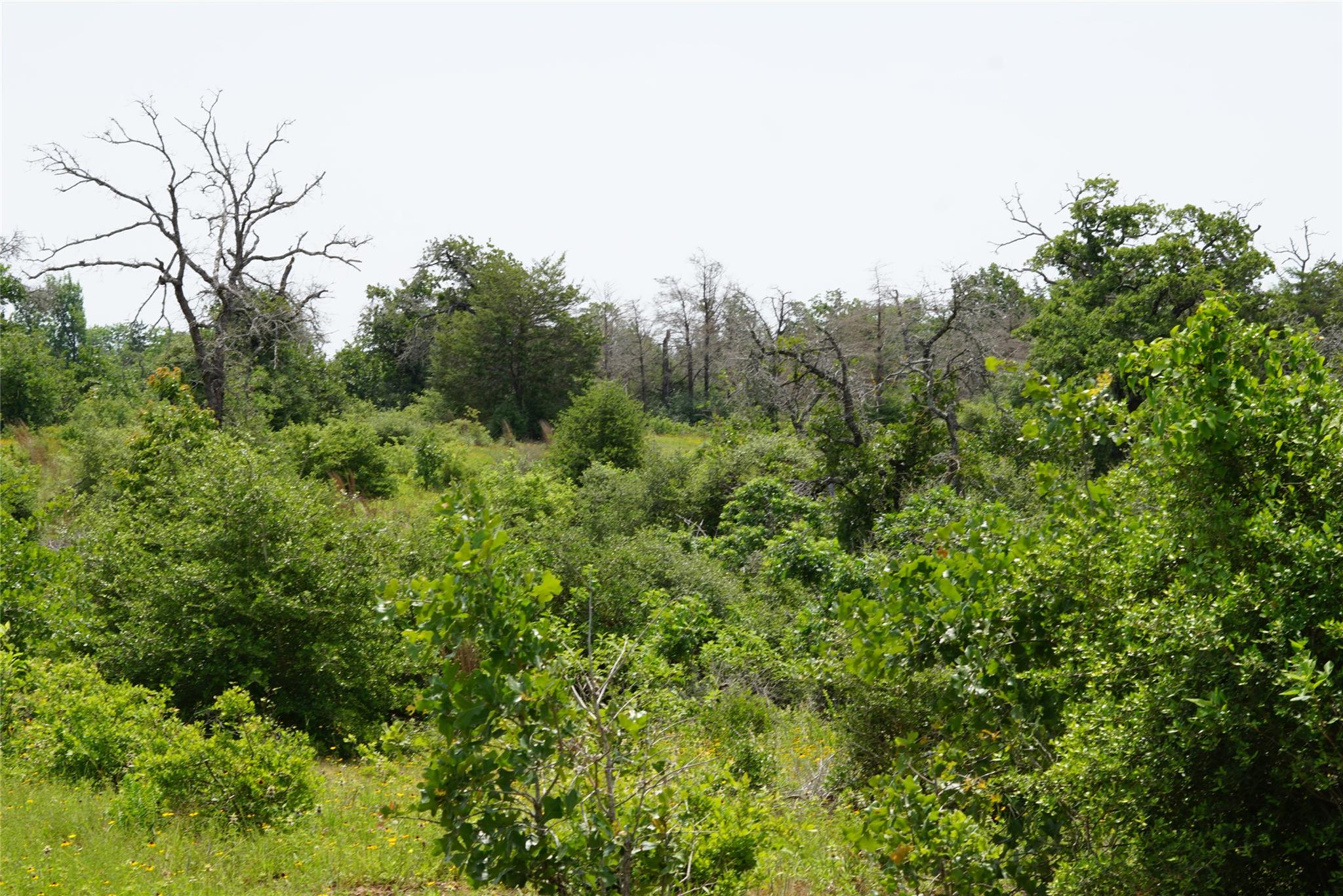 TBD County Road 322, Rockdale, TX 76567