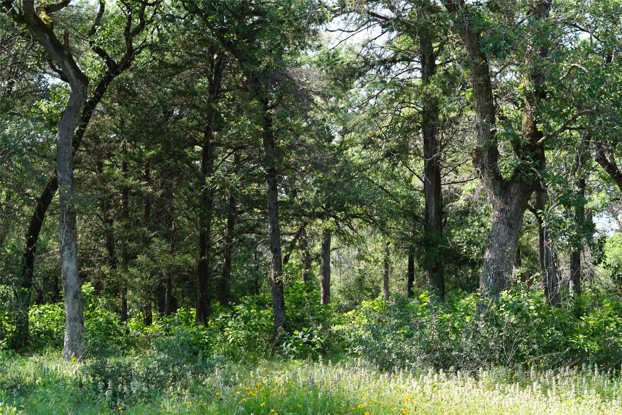 TBD County Road 322, Rockdale, TX 76567