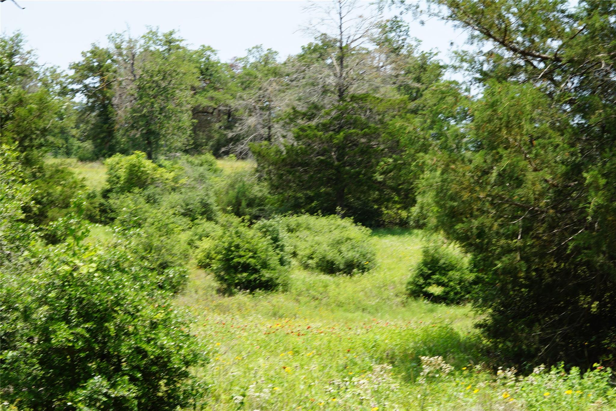 TBD County Road 322, Rockdale, TX 76567