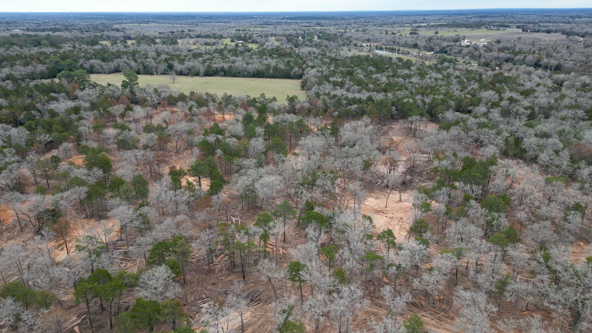 1559 Fm 535, Smithville, TX 78957