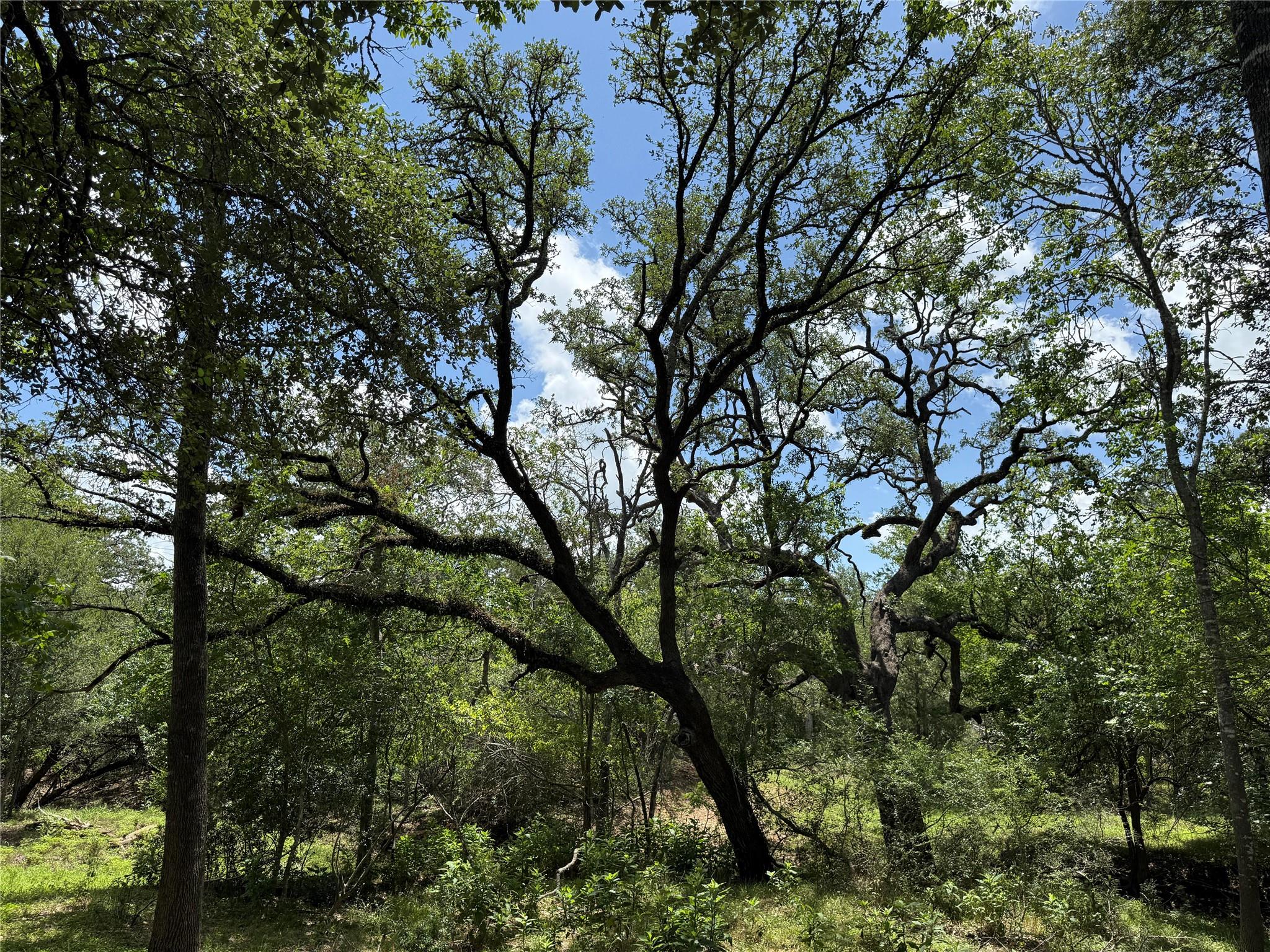 0000 Church Rd, Paige, TX 78659