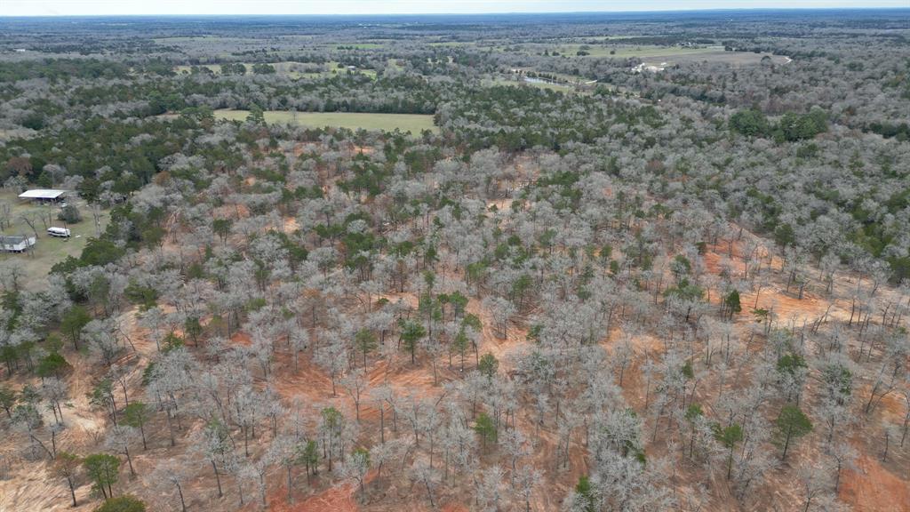 1559 Fm 535, Smithville, TX 78957