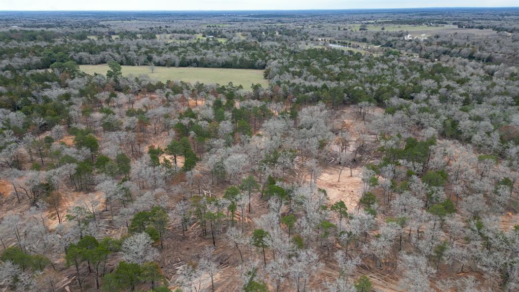 1559 Fm 535, Smithville, TX 78957