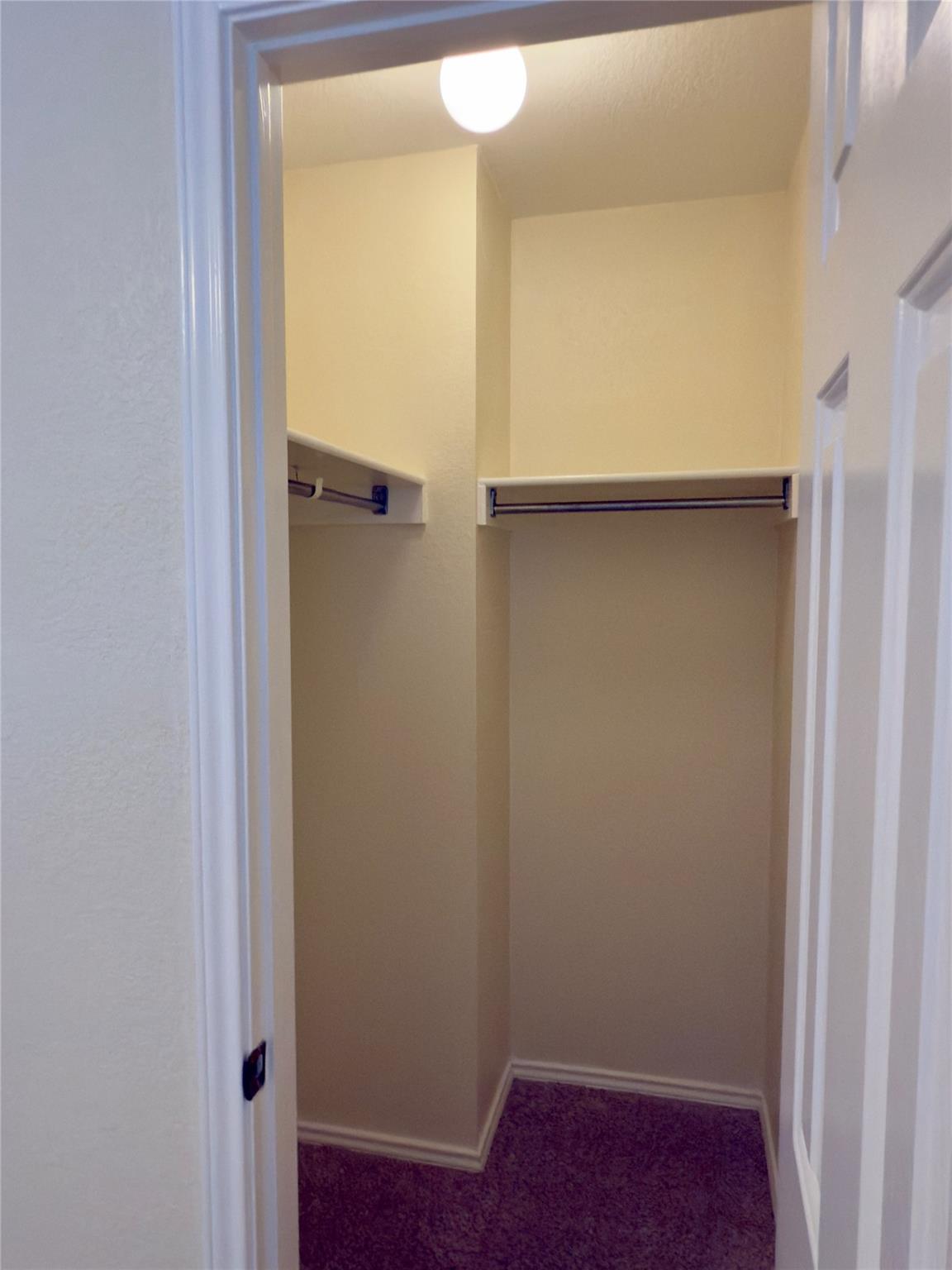 1206 Devil Rdg, Cedar Park, TX 78613