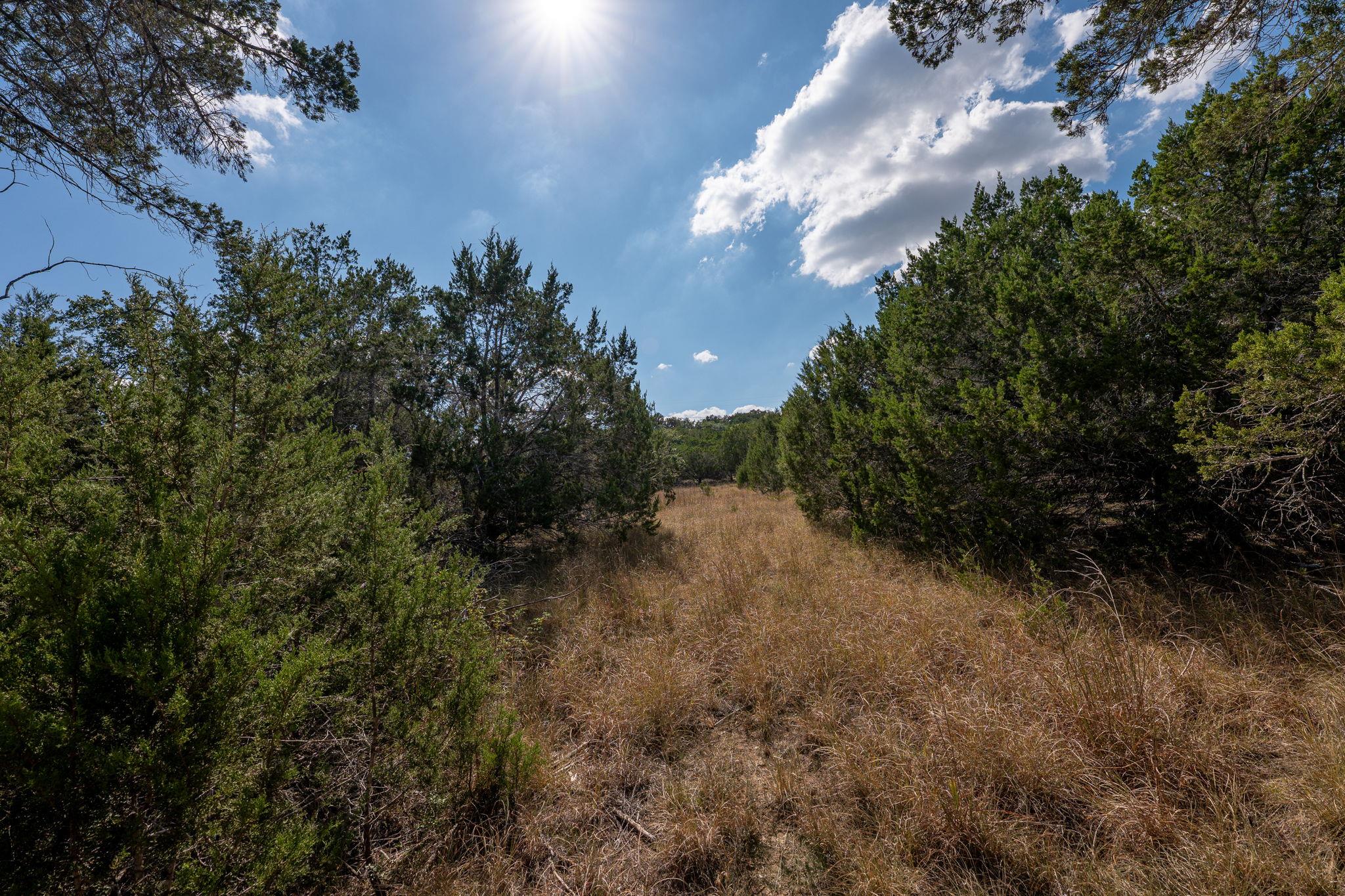 4 Midnight Sky Dr, Austin, TX 78737