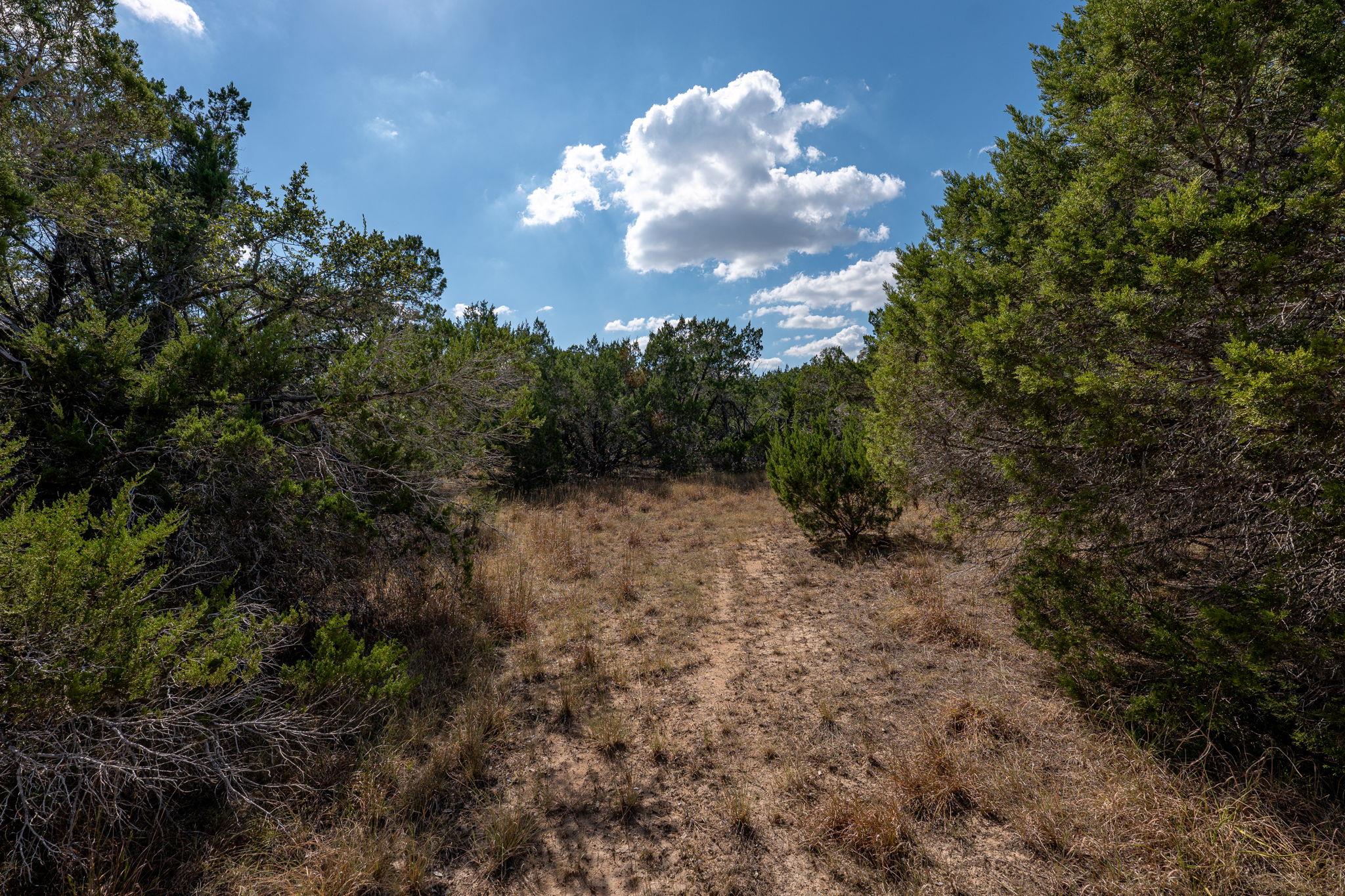 4 Midnight Sky Dr, Austin, TX 78737