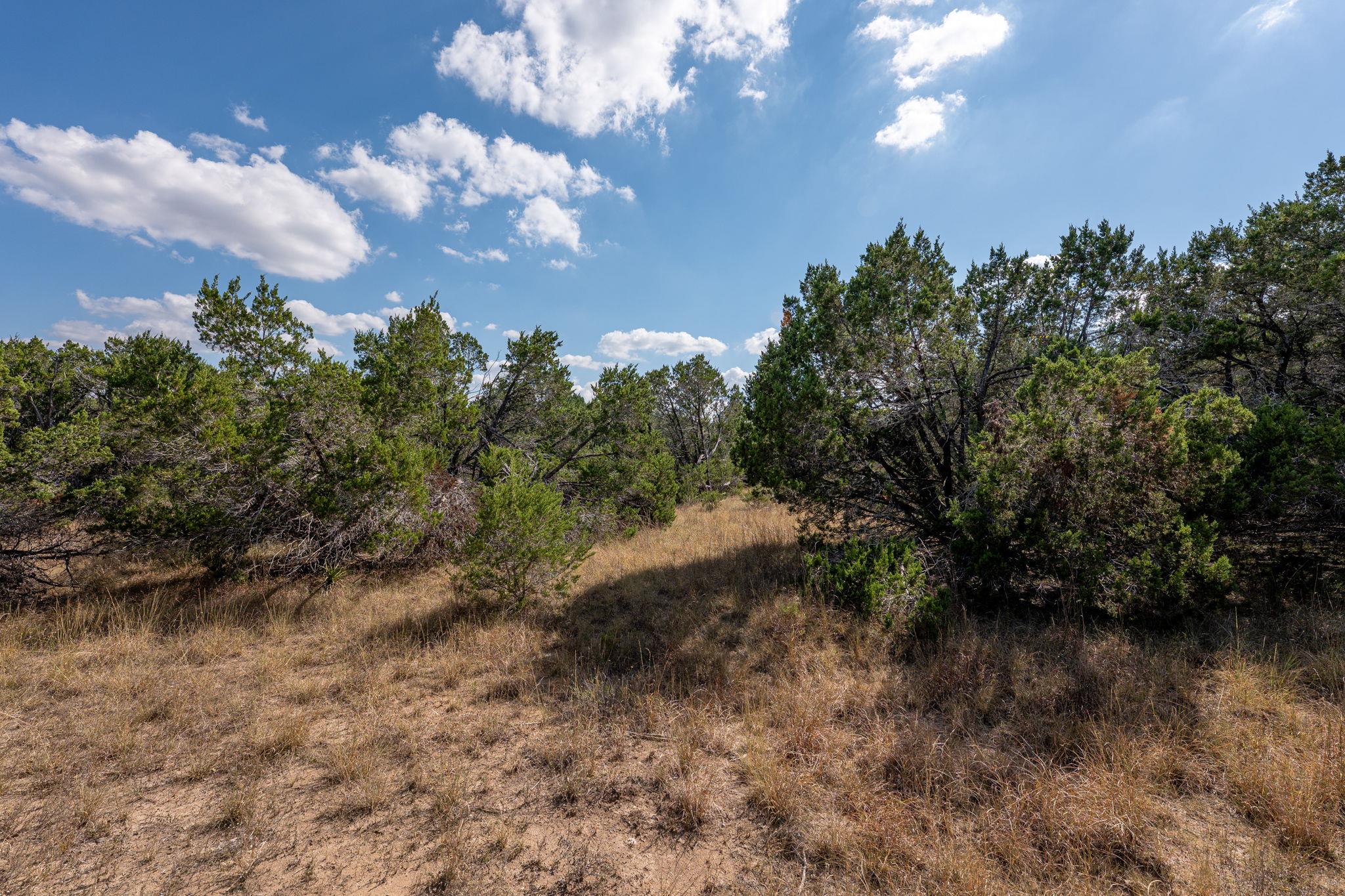 4 Midnight Sky Dr, Austin, TX 78737