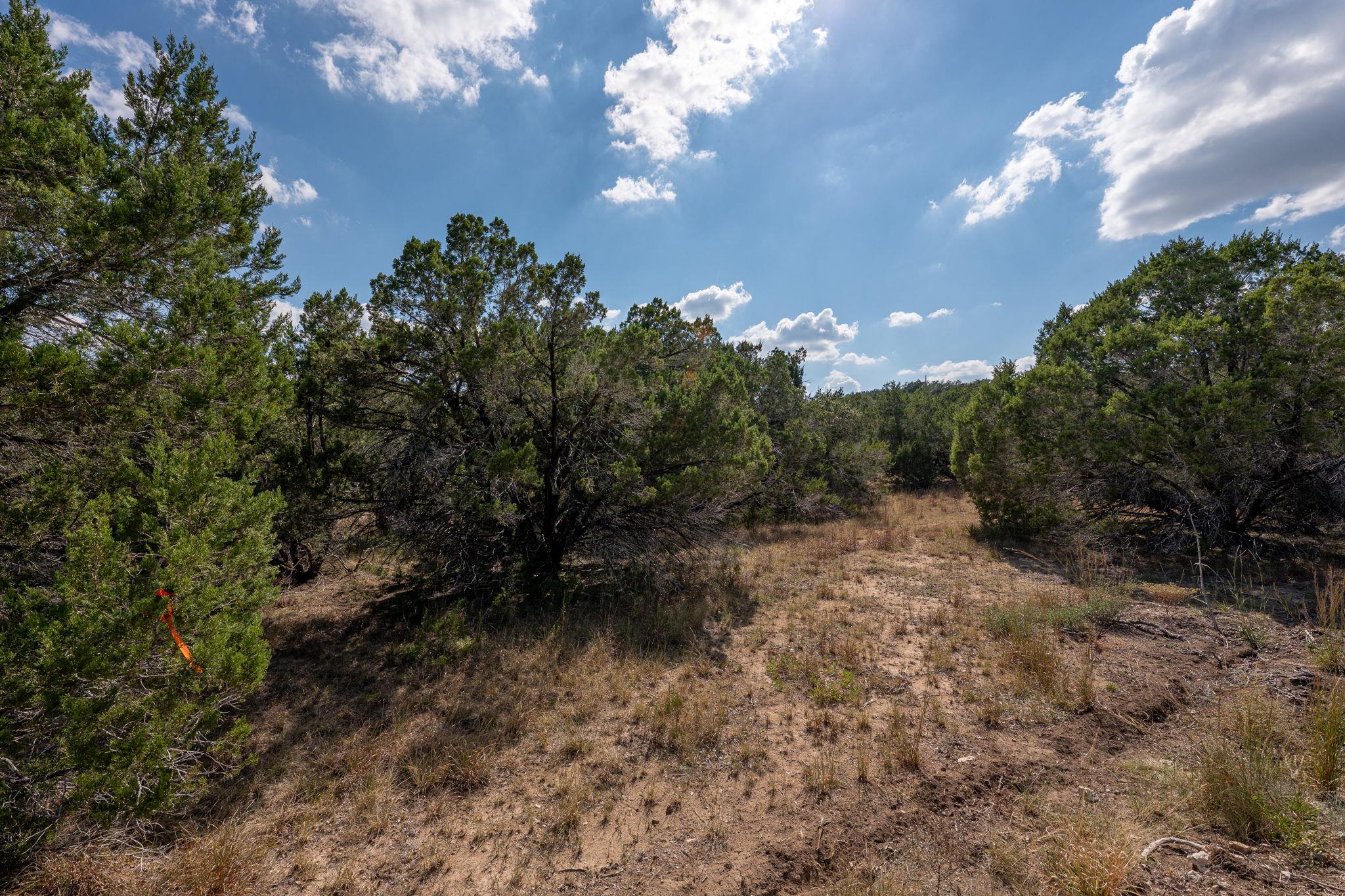 4 Midnight Sky Dr, Austin, TX 78737