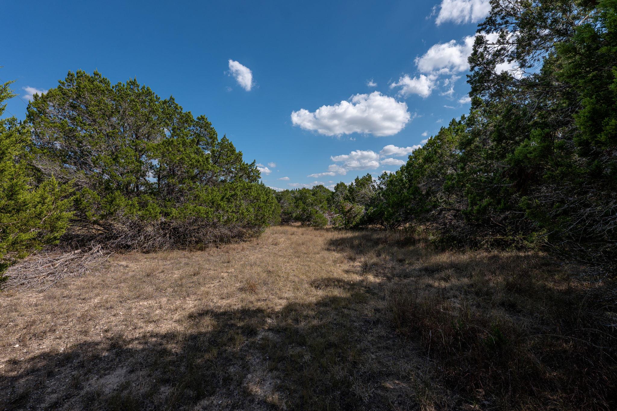 4 Midnight Sky Dr, Austin, TX 78737