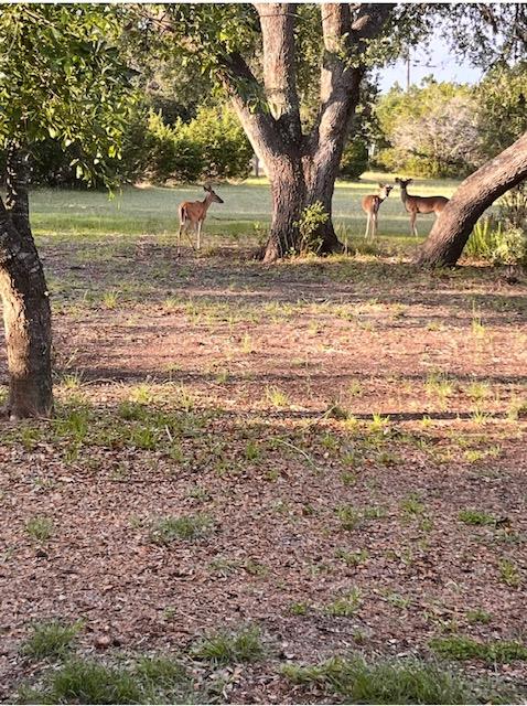 1031 N Sunset Canyon Dr, Dripping Springs, TX 78620