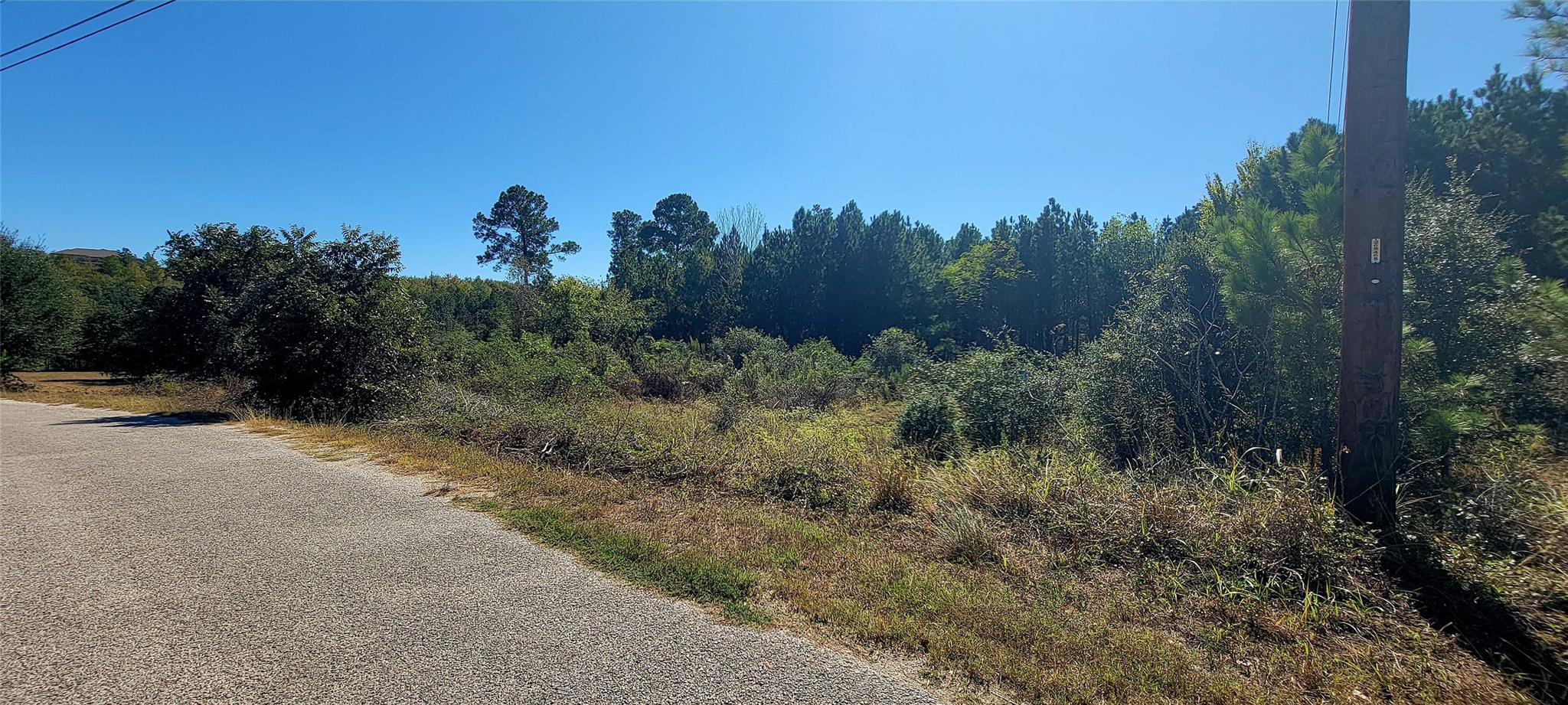 TBD Alele Dr, Bastrop, TX 78602