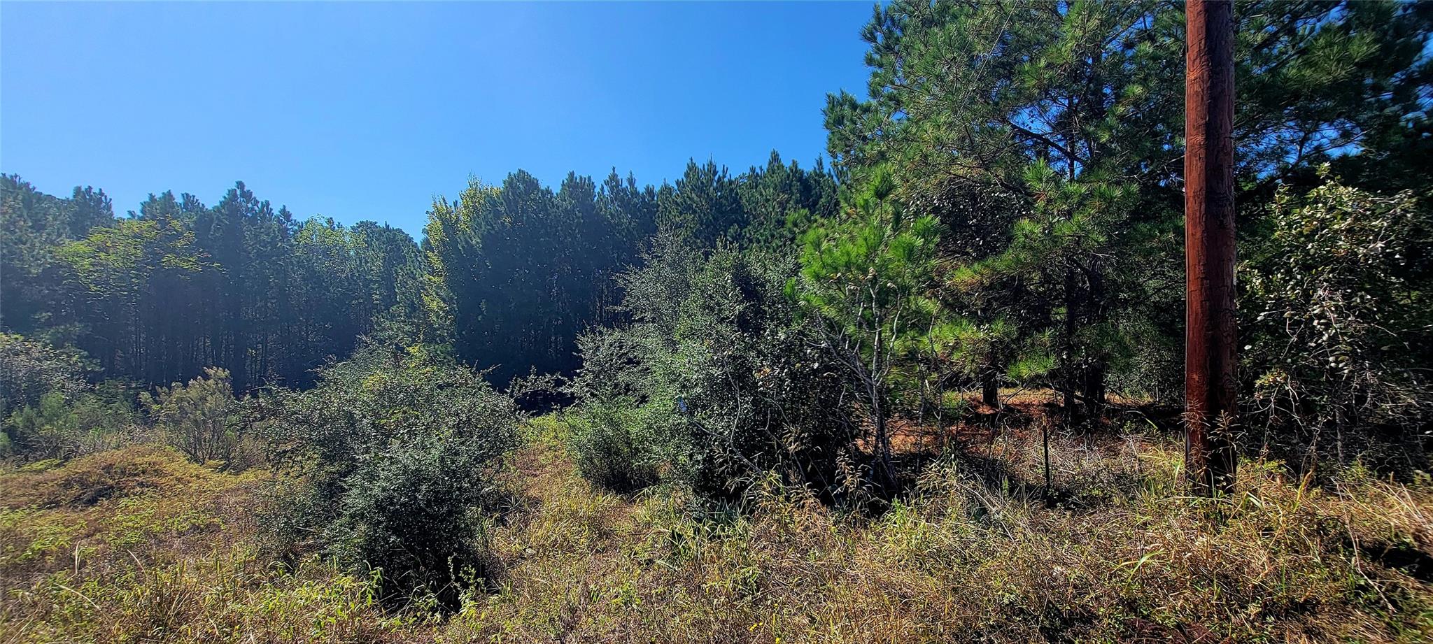 TBD Alele Dr, Bastrop, TX 78602