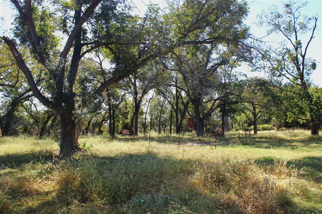 543 County Road 4620, Kempner, TX 76539