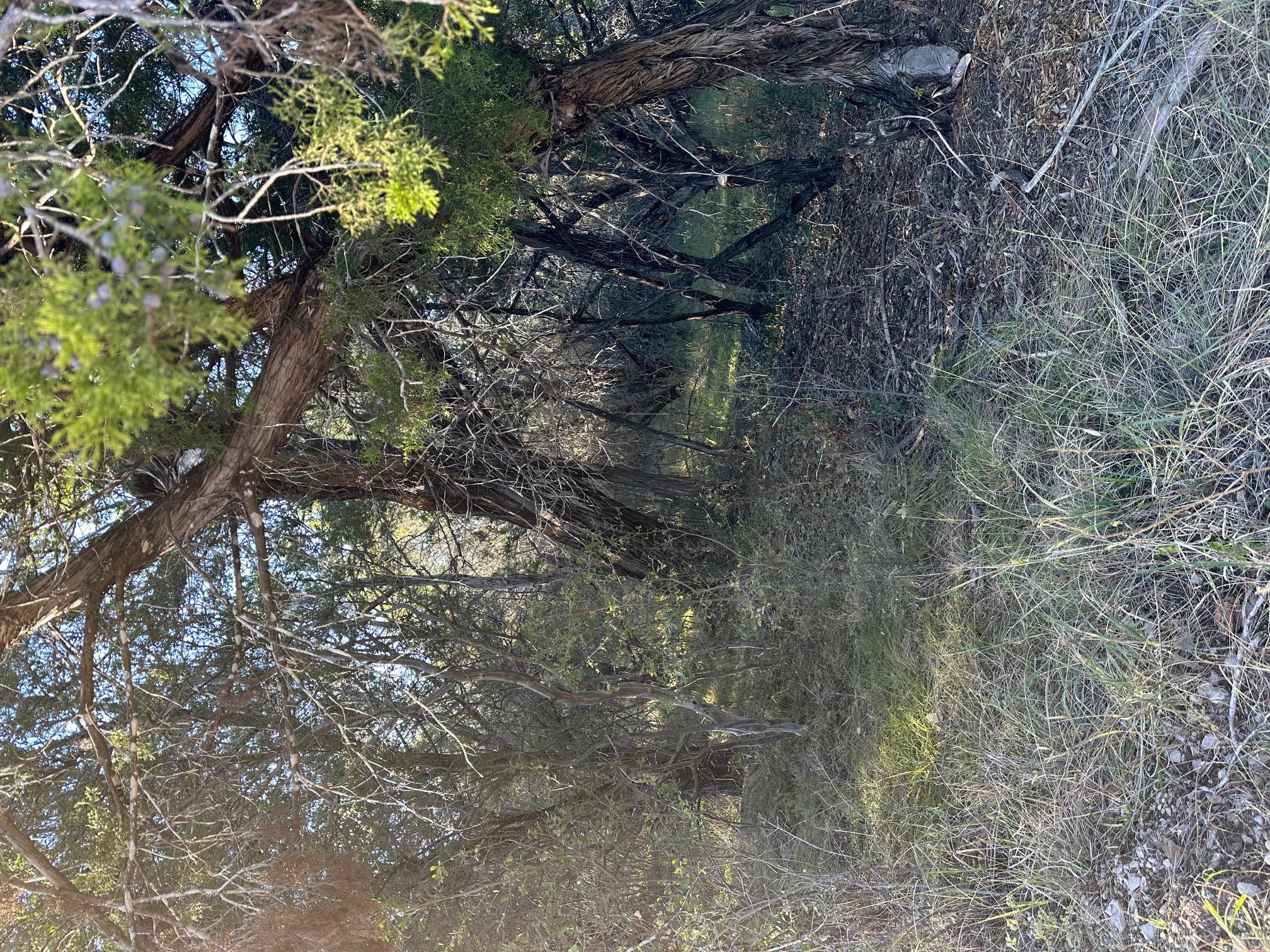 1109 Ponderosa Bnd, Horseshoe Bay, TX 78657