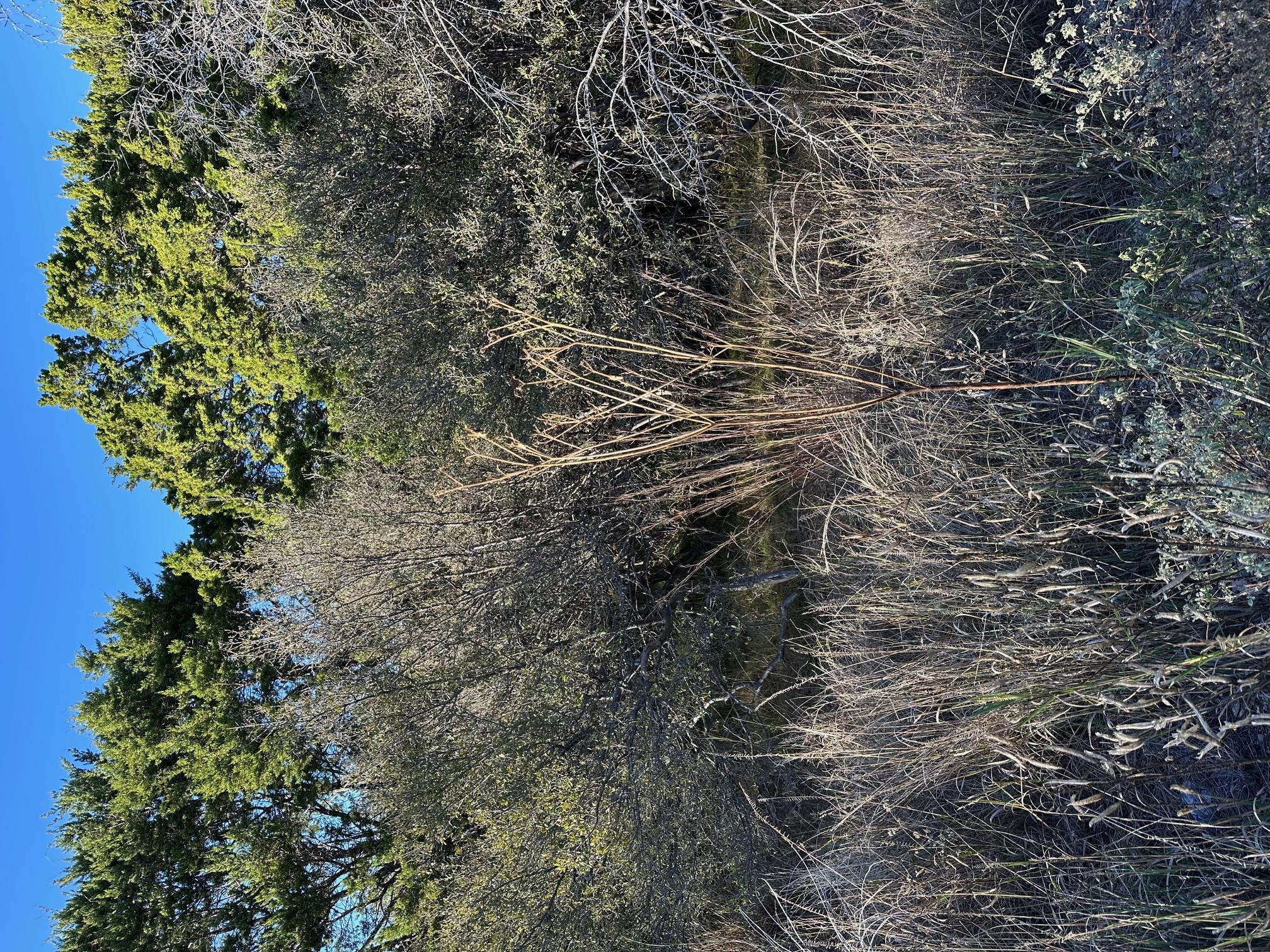 1109 Ponderosa Bnd, Horseshoe Bay, TX 78657