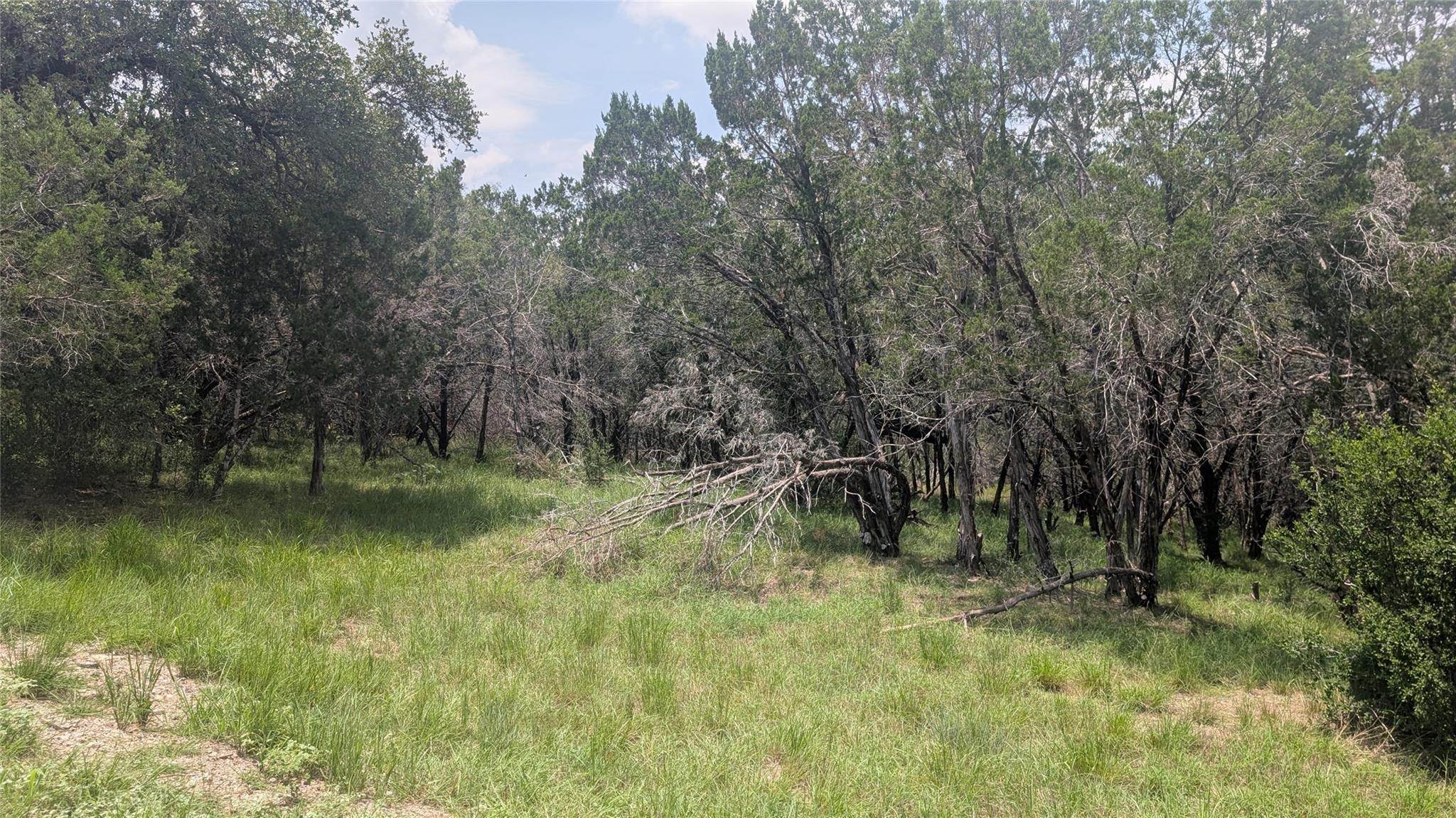 1109 Ponderosa Bnd, Horseshoe Bay, TX 78657