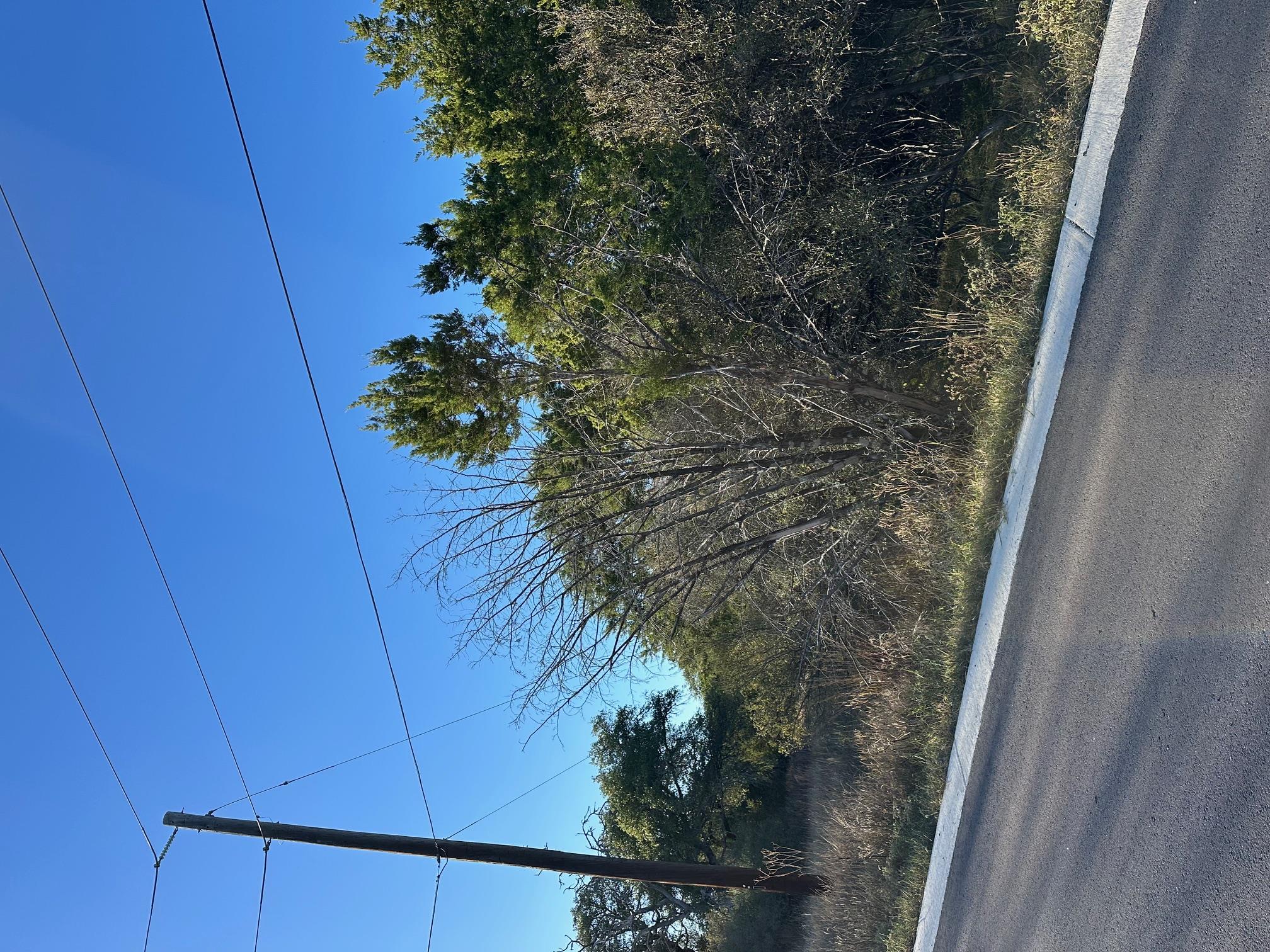 1111 Ponderosa Bnd, Horseshoe Bay, TX 78657