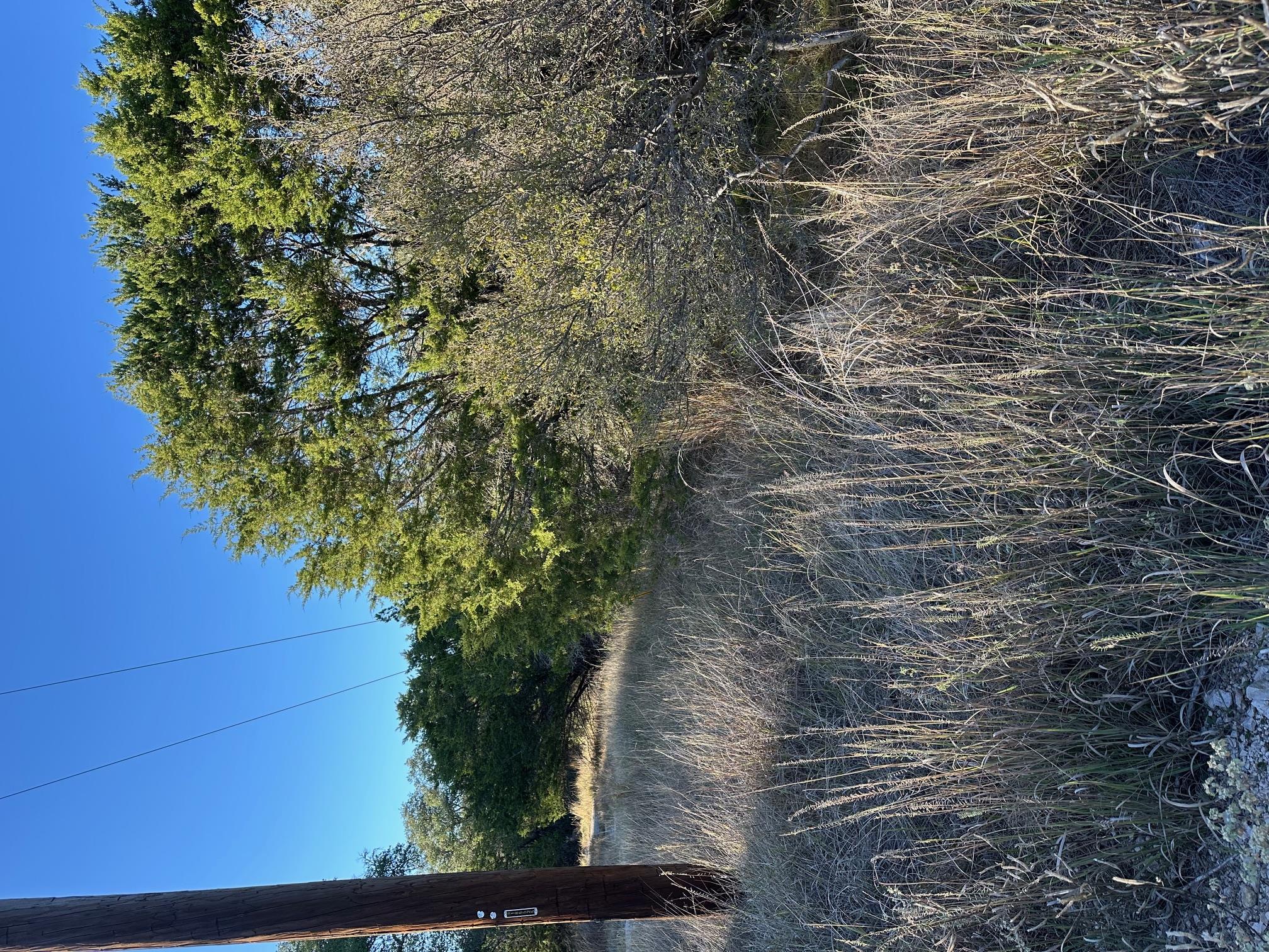 1111 Ponderosa Bnd, Horseshoe Bay, TX 78657