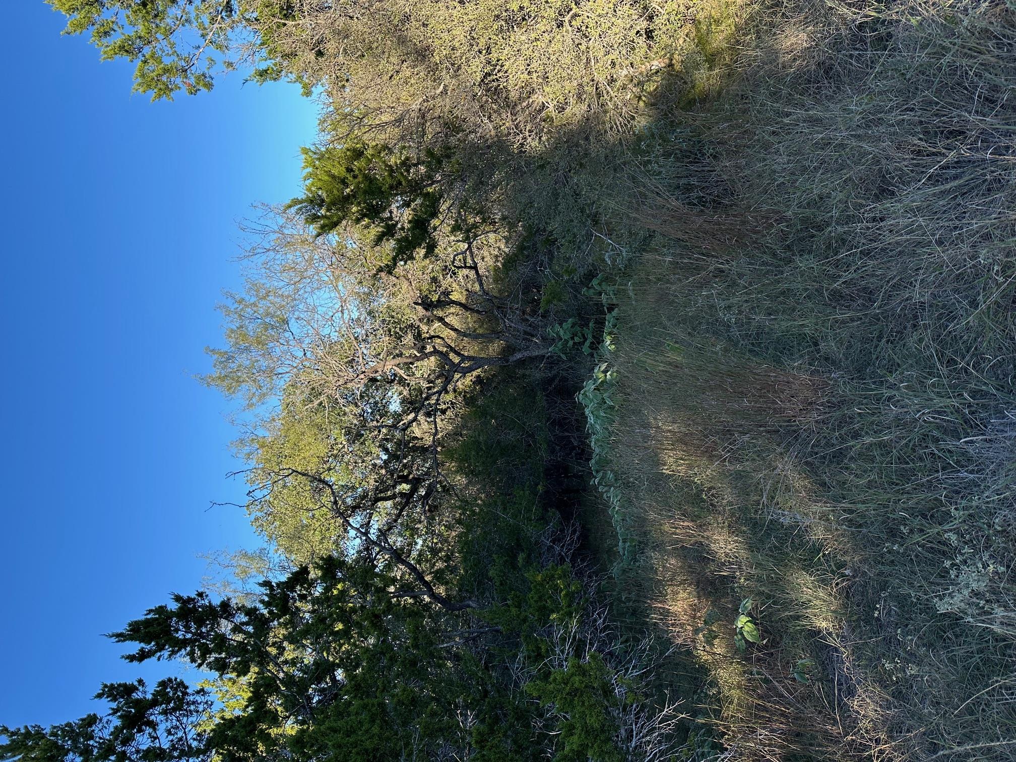 1111 Ponderosa Bnd, Horseshoe Bay, TX 78657