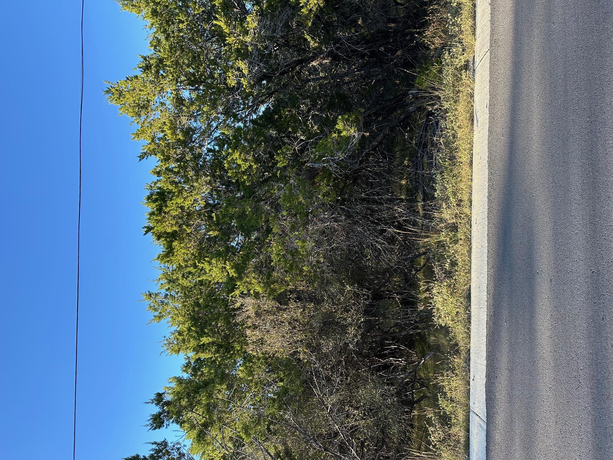 1111 Ponderosa Bnd, Horseshoe Bay, TX 78657