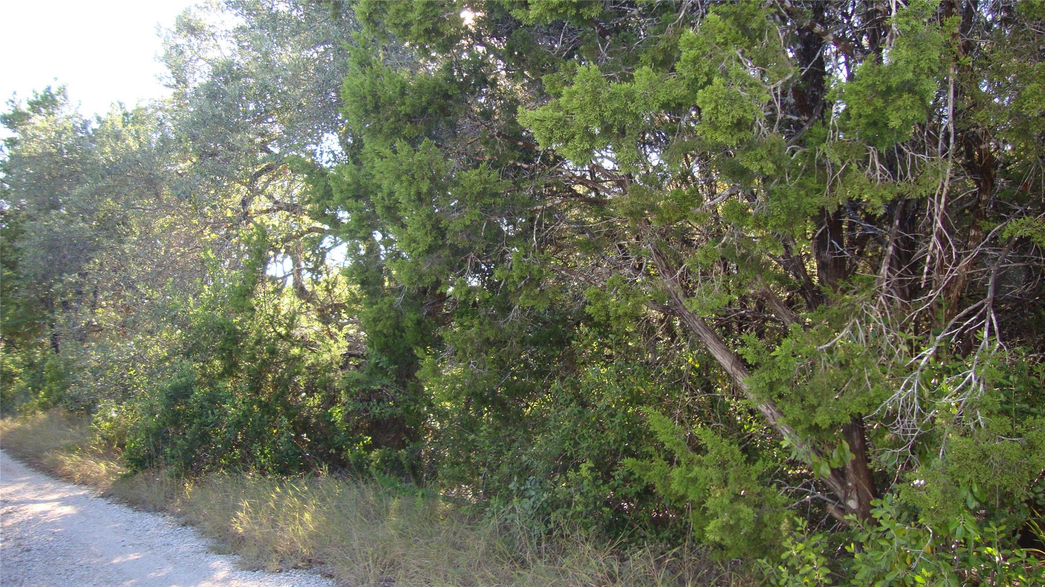 11112, 11106 Travis Dr, Jonestown, TX 78645