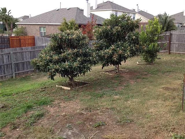 133 Ashwood N, Kyle, TX 78640