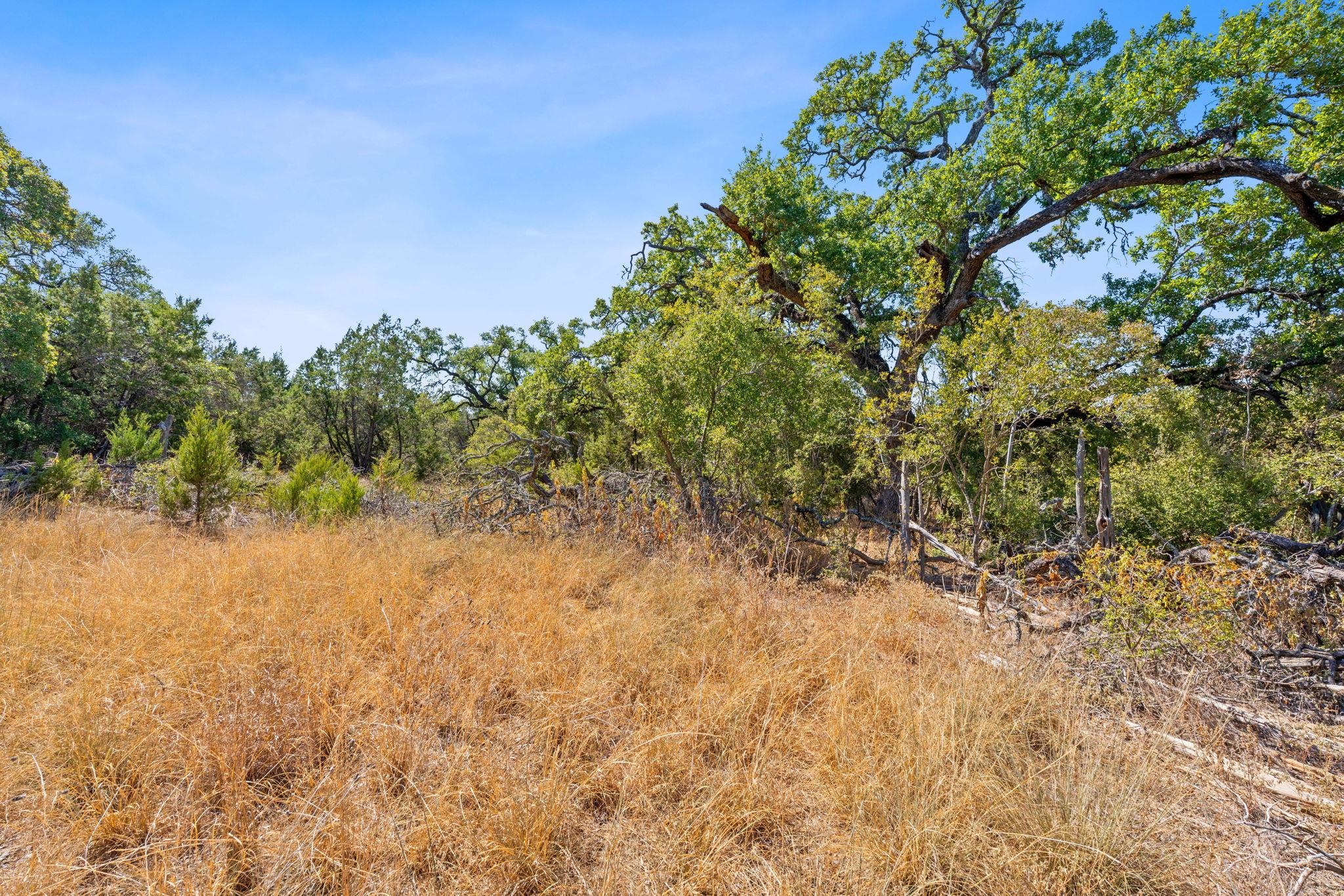 8409 Appaloosa Run, Austin, TX 78737