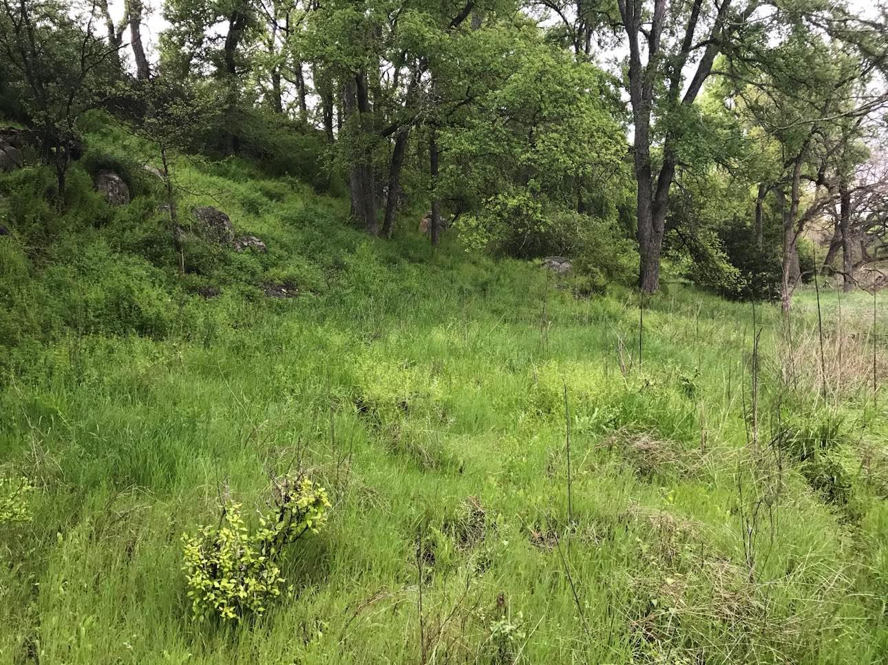 21109 N Us Highway 281, Lampasas, TX 76550