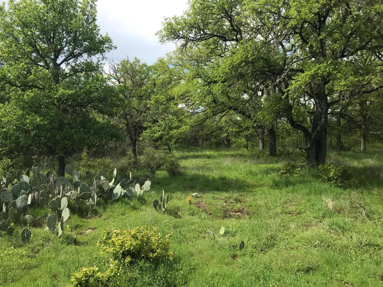 21109 N Us Highway 281, Lampasas, TX 76550