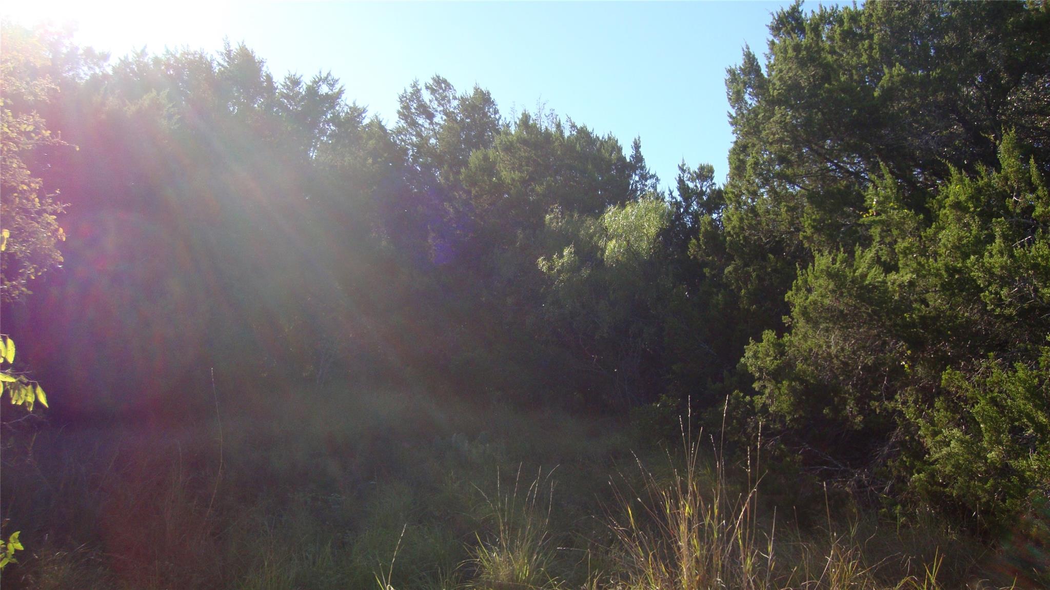 11116 Travis Dr, Jonestown, TX 78645