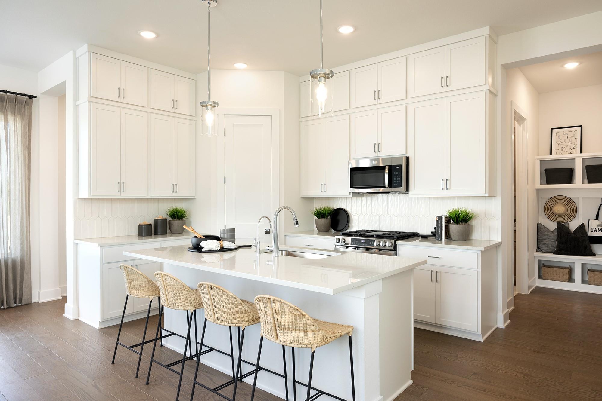 1401 Rambling Rose Rd, Austin, TX 78745