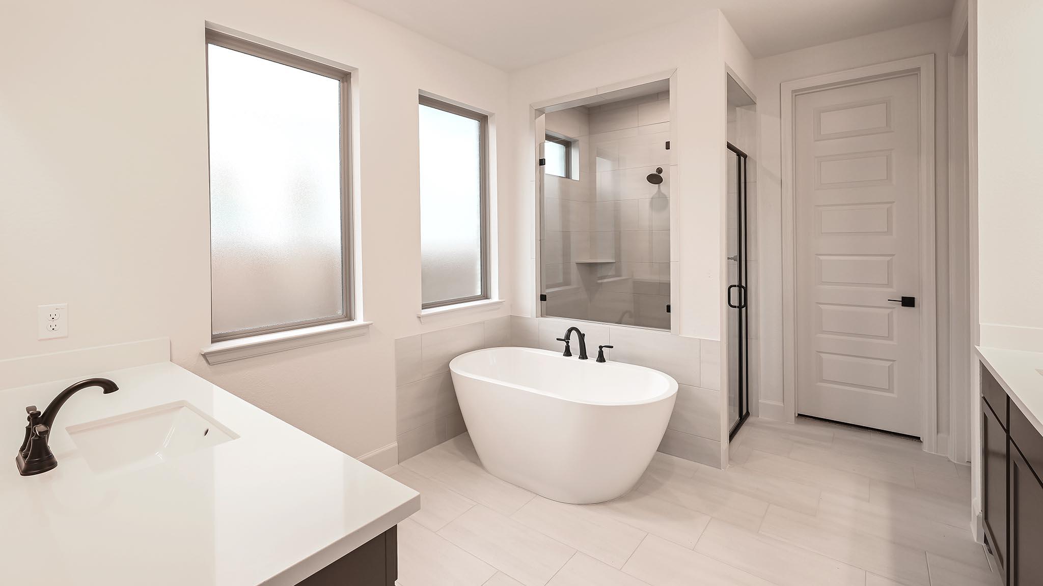 172 Basket Flower Loop, Kyle, TX 78640