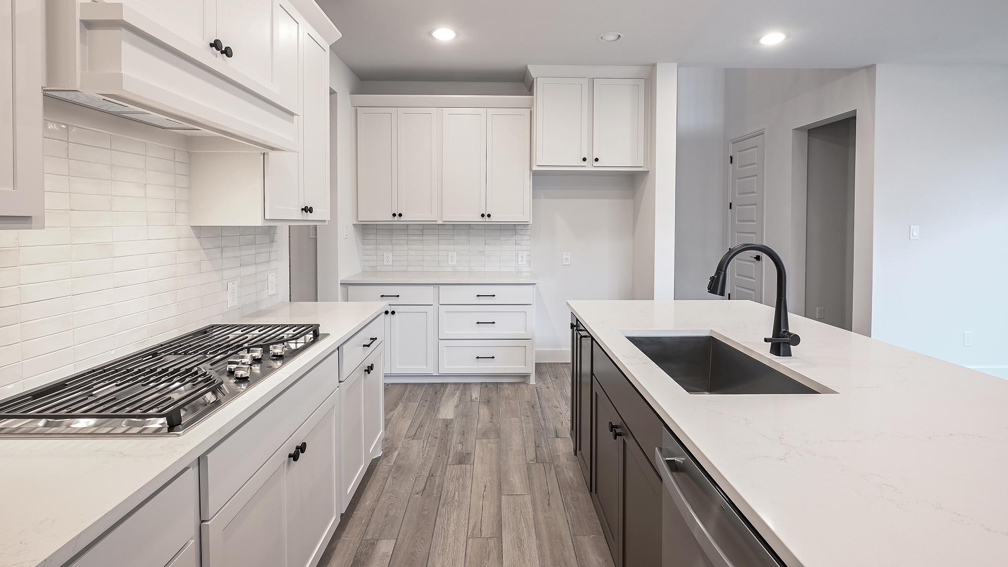 172 Basket Flower Loop, Kyle, TX 78640