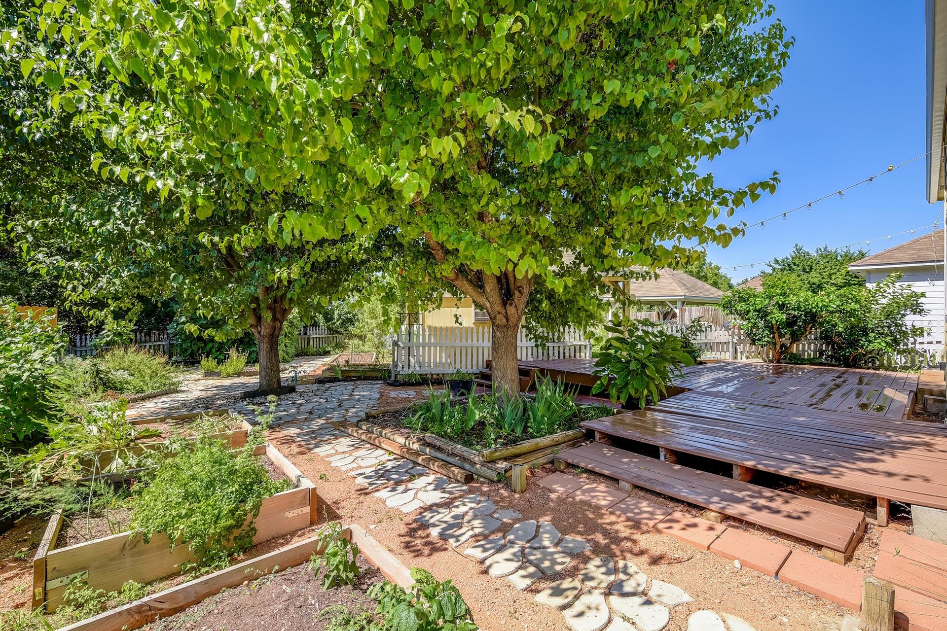 1504 E 19th St, Georgetown, TX 78626