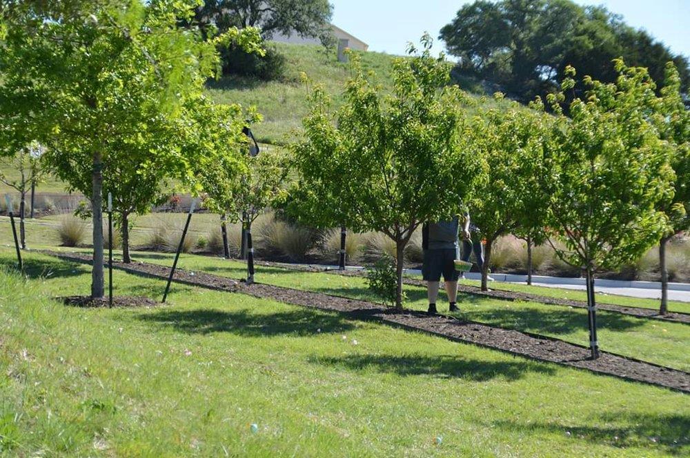 100 Peach Flat Ct, Liberty Hill, TX 78642