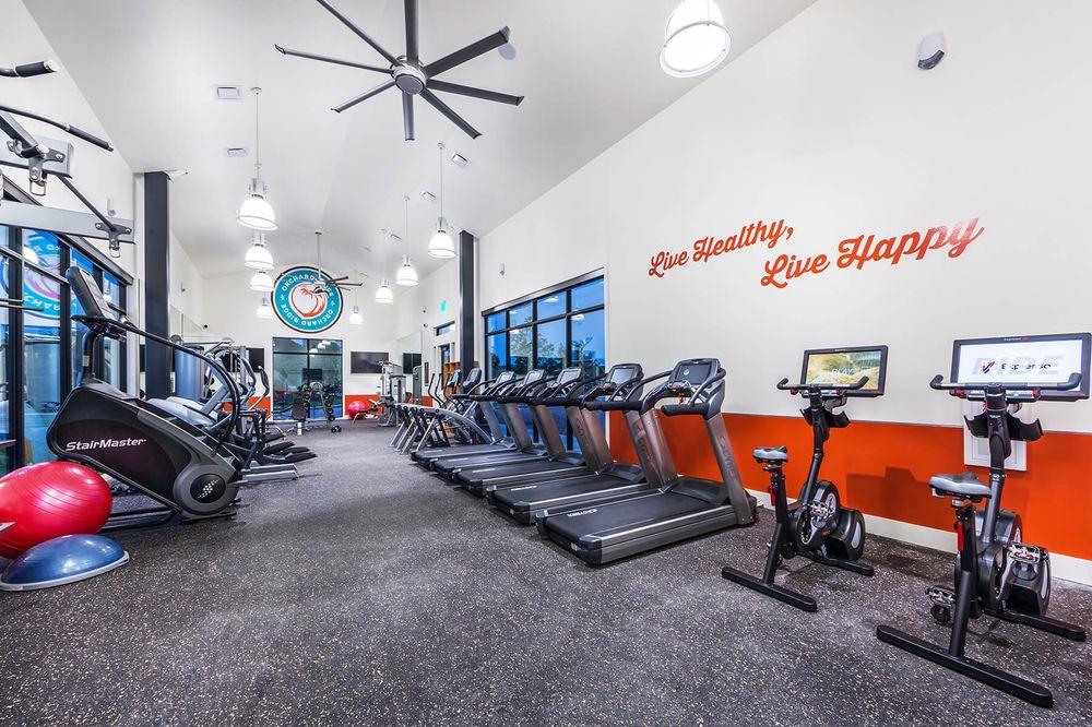 100 Peach Flat Ct, Liberty Hill, TX 78642