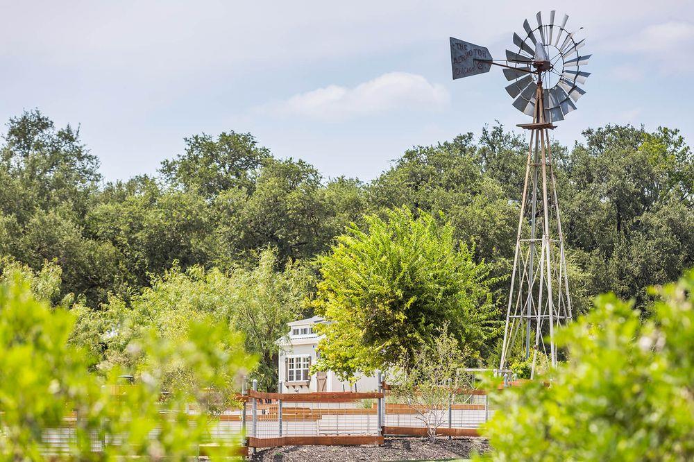 100 Peach Flat Ct, Liberty Hill, TX 78642