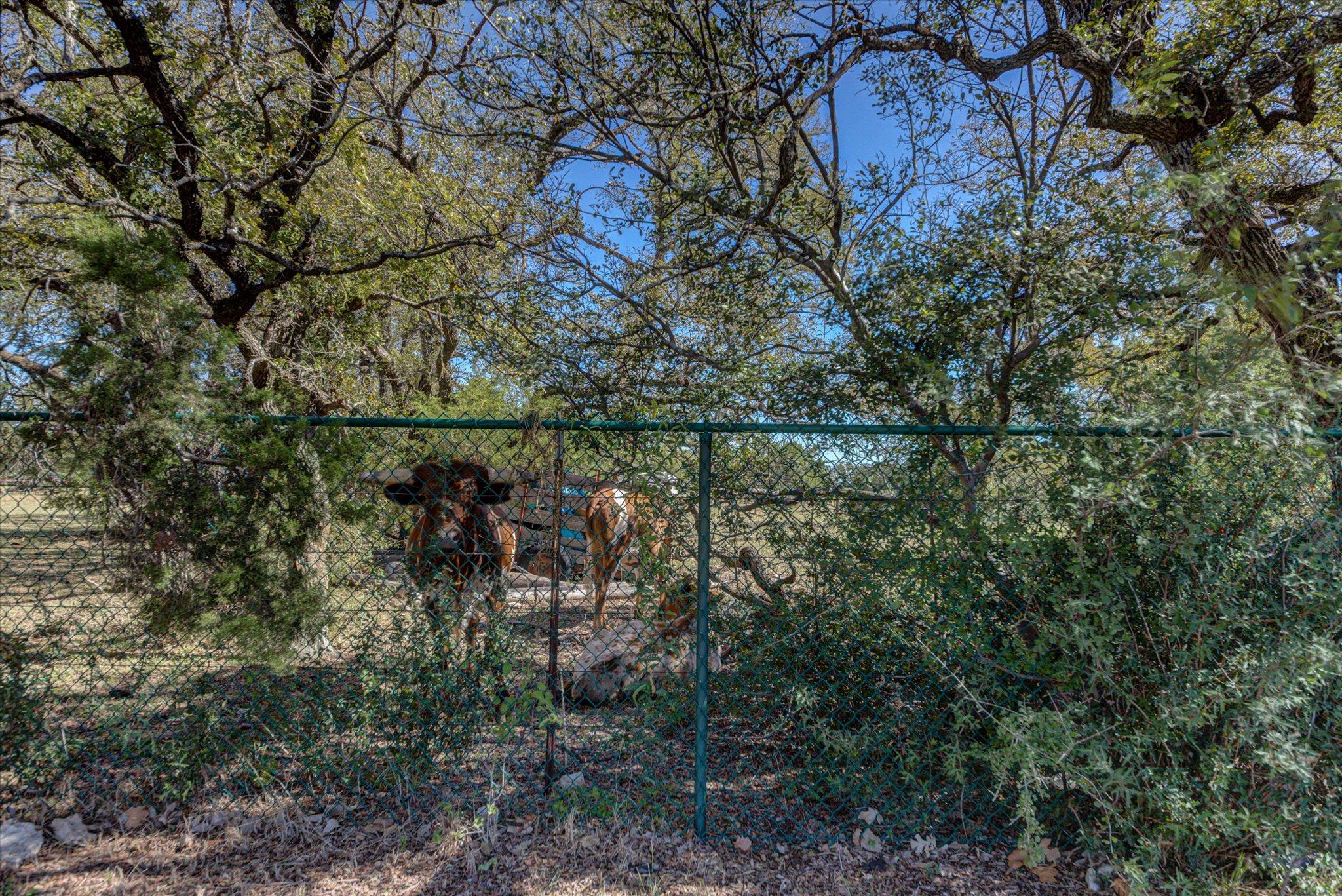 200 Harbor Cir Cir, Georgetown, TX 78633