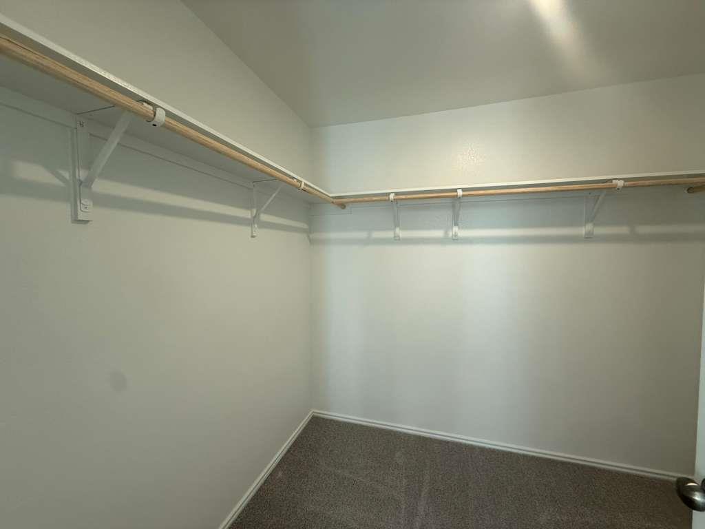 205 Herald Dr, Hutto, TX 78634