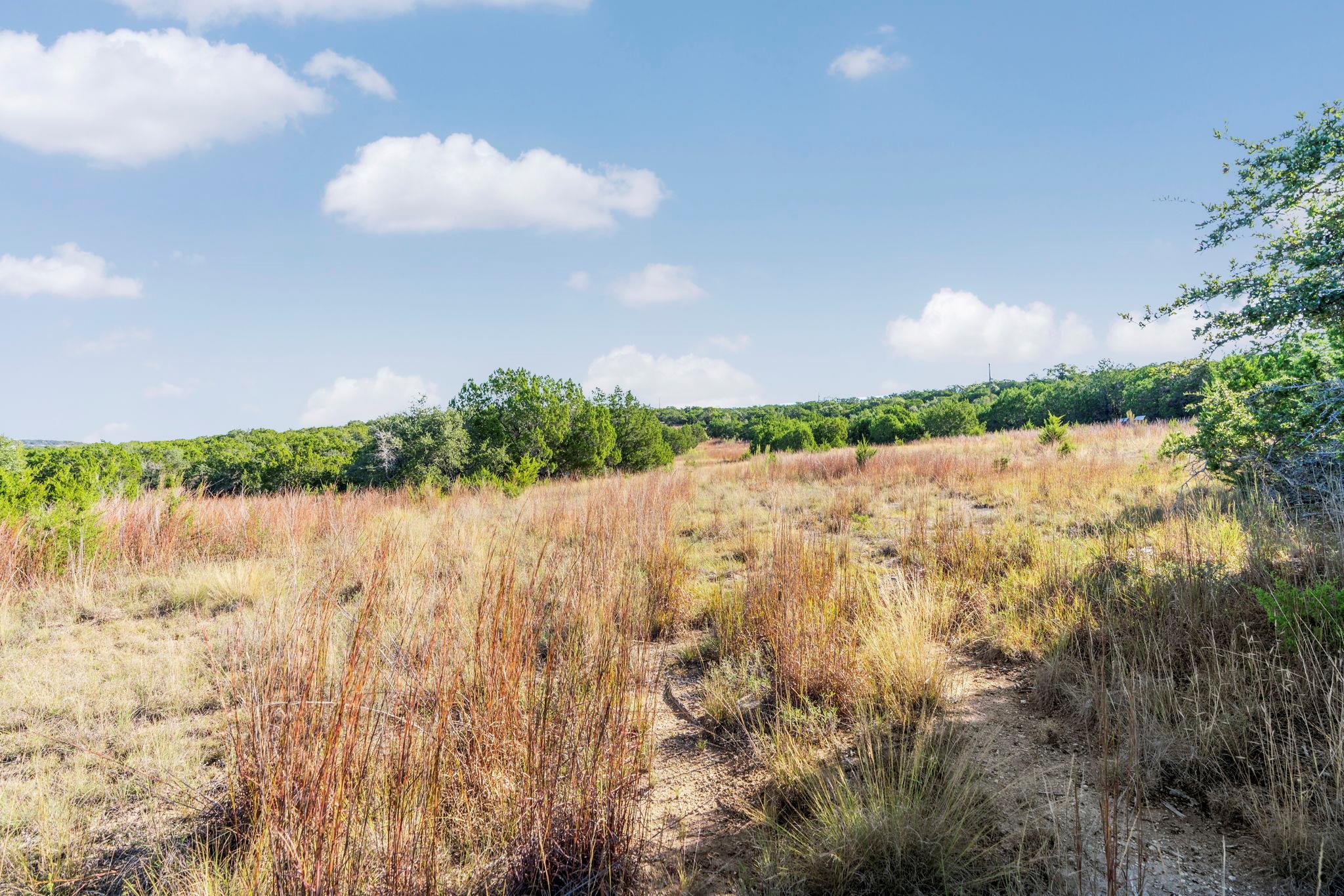 2021 Stagecoach Ranch Rd, Dripping Springs, TX 78620