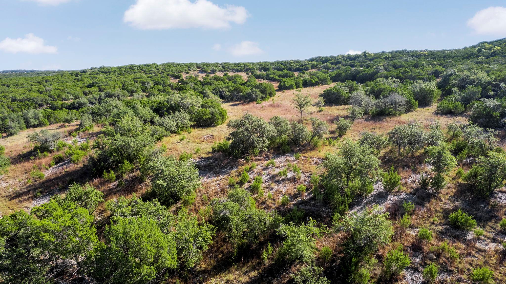 2021 Stagecoach Ranch Rd, Dripping Springs, TX 78620