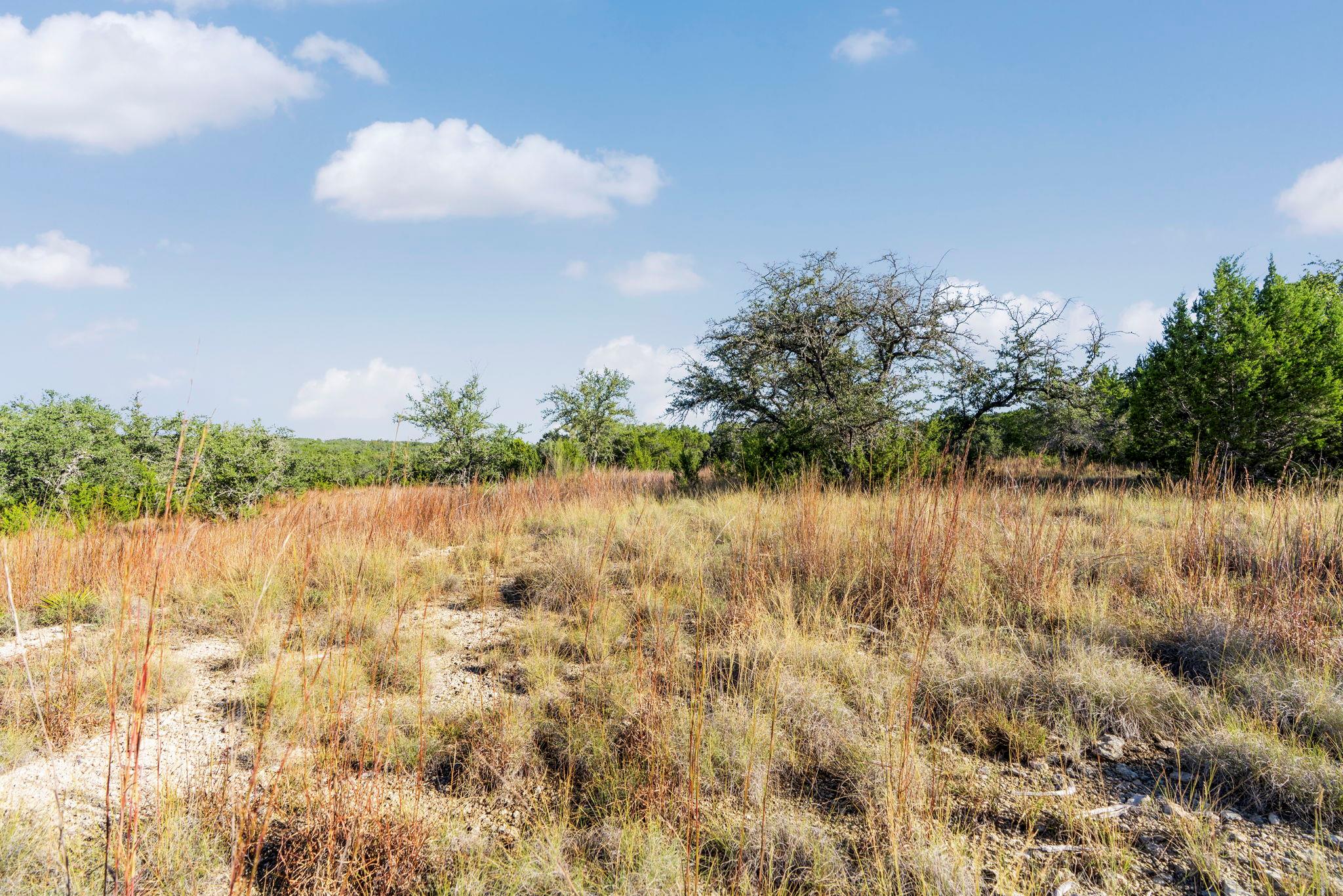 2021 Stagecoach Ranch Rd, Dripping Springs, TX 78620