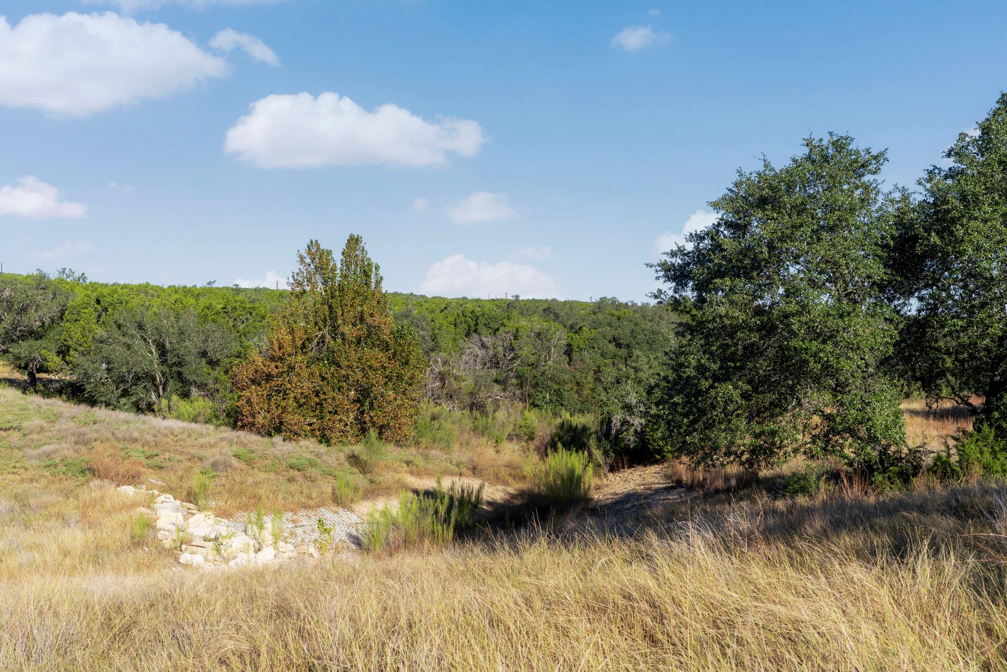 2021 Stagecoach Ranch Rd, Dripping Springs, TX 78620