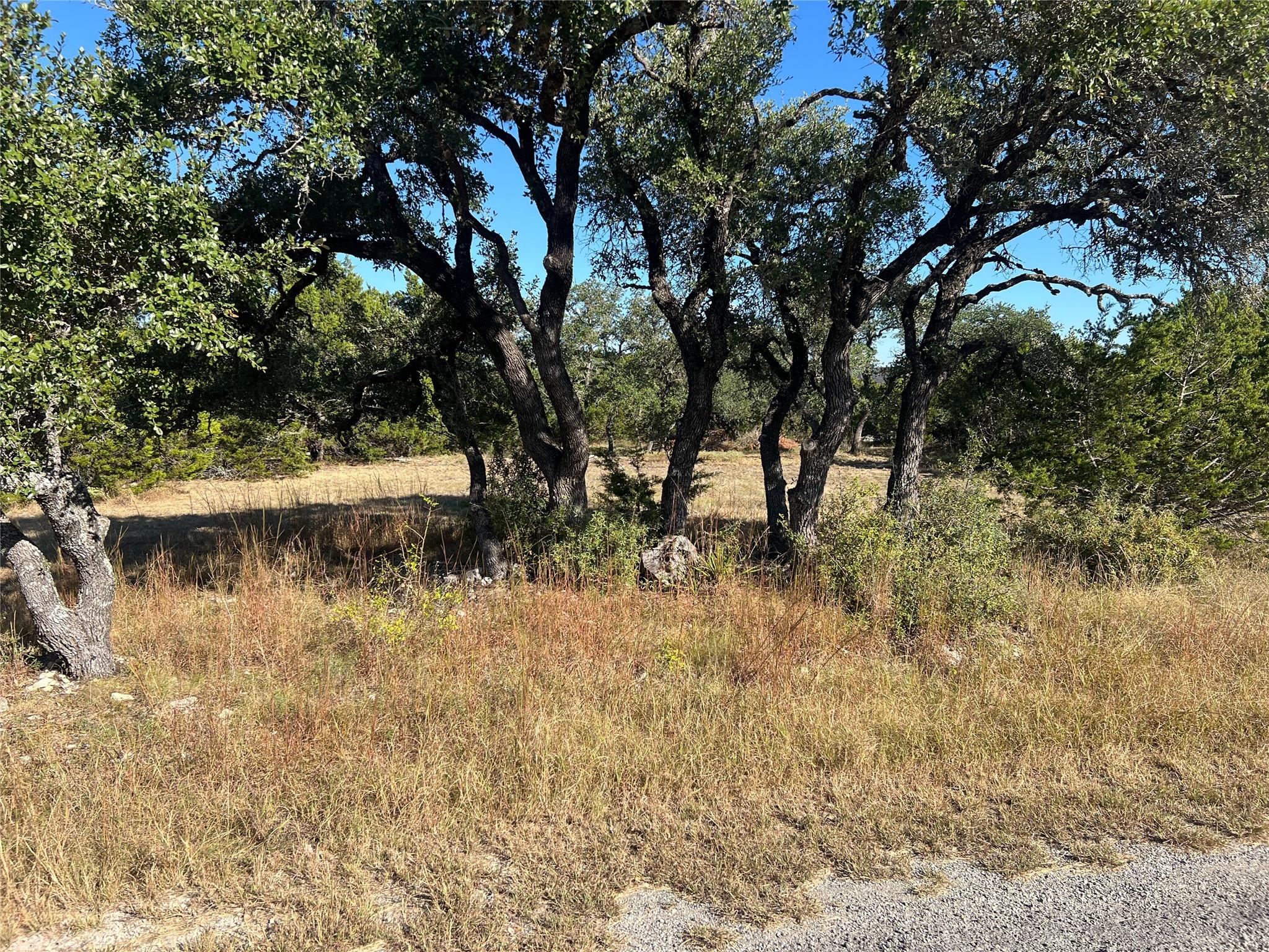 1225 Fernwood Rd, Fischer, TX 78623